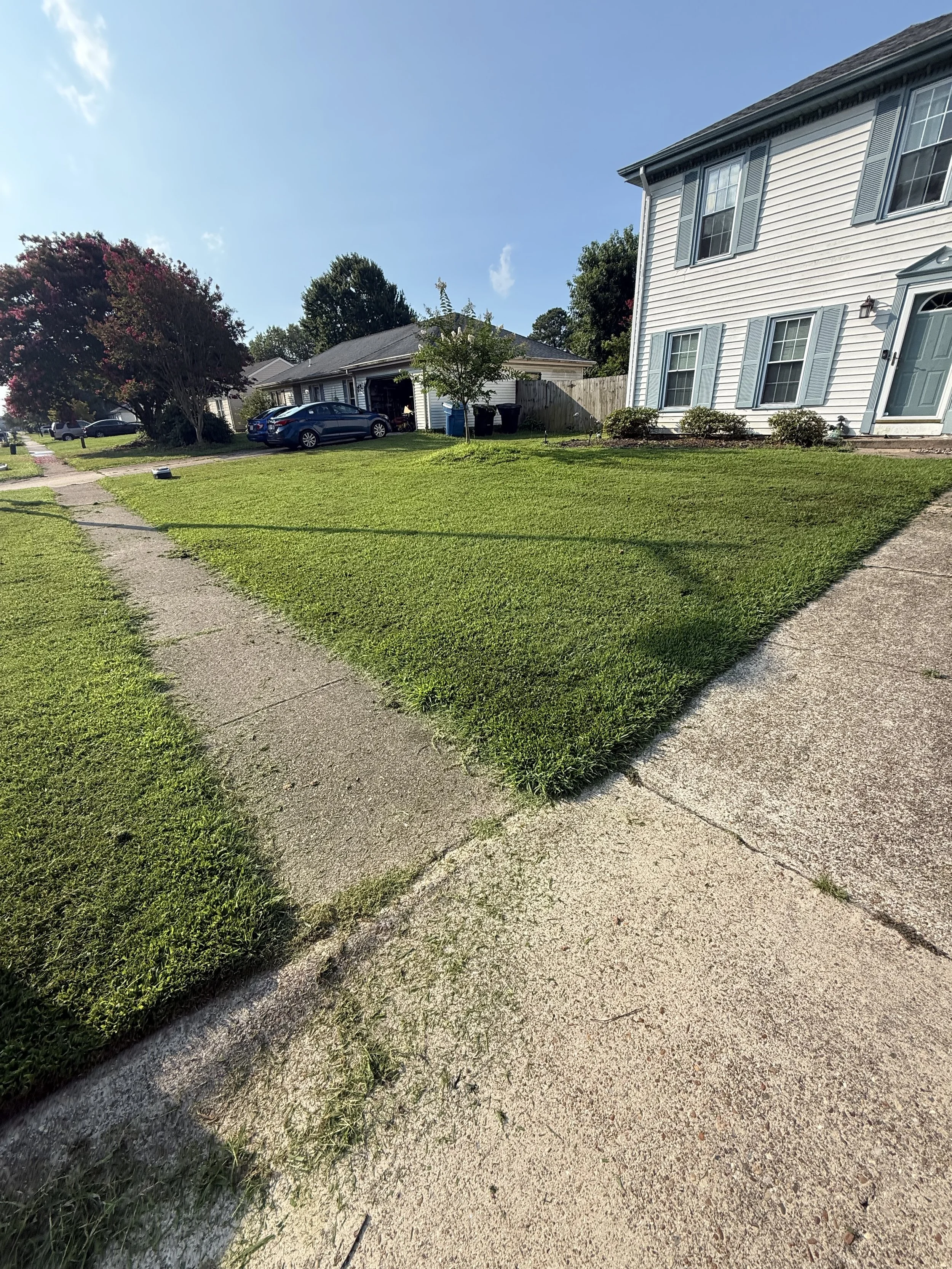 A residential front yard with new green grass, a sidewalk, and a neighboring white house with blue shutters and a blue door. Cars are parked in the driveway and on the street, with a clear blue sky overhead.
