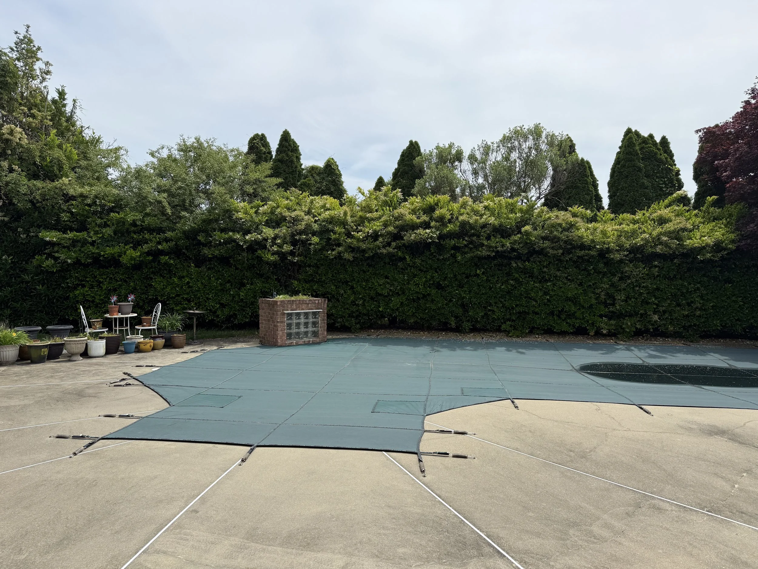 An empty swimming pool covered with a safety cover on a concrete patio, with a row of potted plants and outdoor furniture to the left, and a tall green hedge with trees in the background.