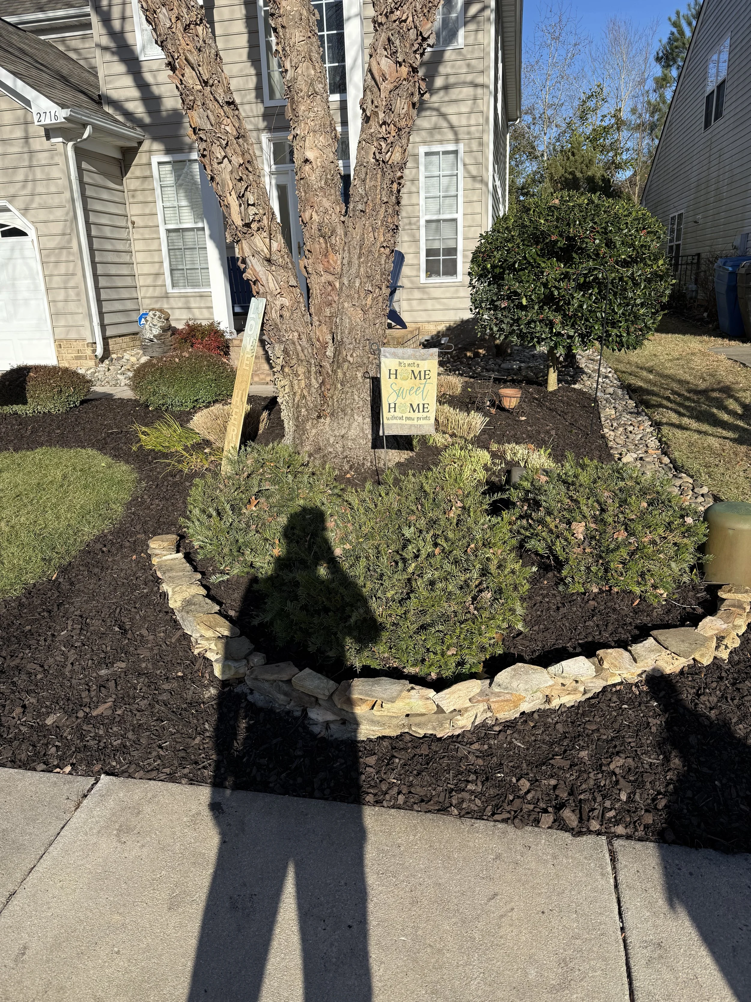 Front yard of a house with a large tree, shrubbery, and a landscaped garden bed. Shadow of a person taking the photo is visible in the foreground.