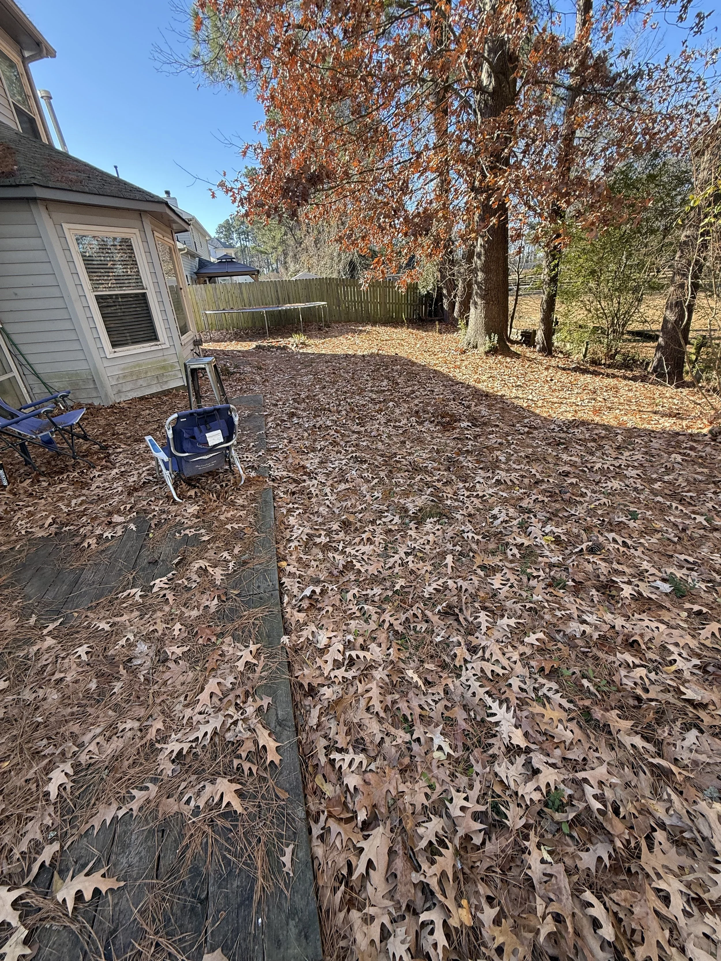 Backyard with fallen autumn leaves, large trees with orange and brown leaves, house siding, outdoor chairs, and a trampoline in the distance.