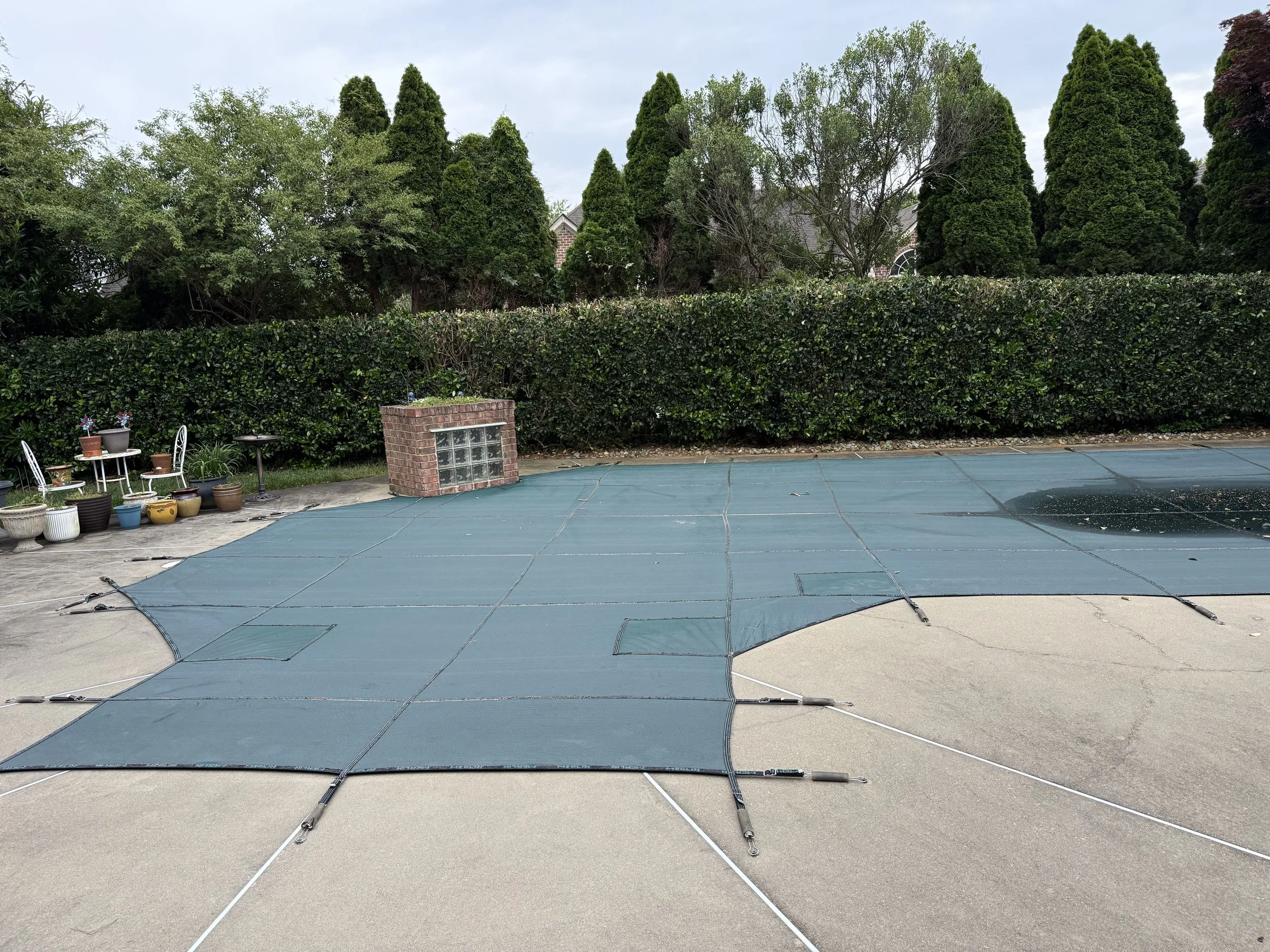 Residential backyard with a swimming pool covered by a teal safety cover, surrounded by a concrete patio and a row of potted plants and outdoor furniture, with a green hedge and tall trees in the background.