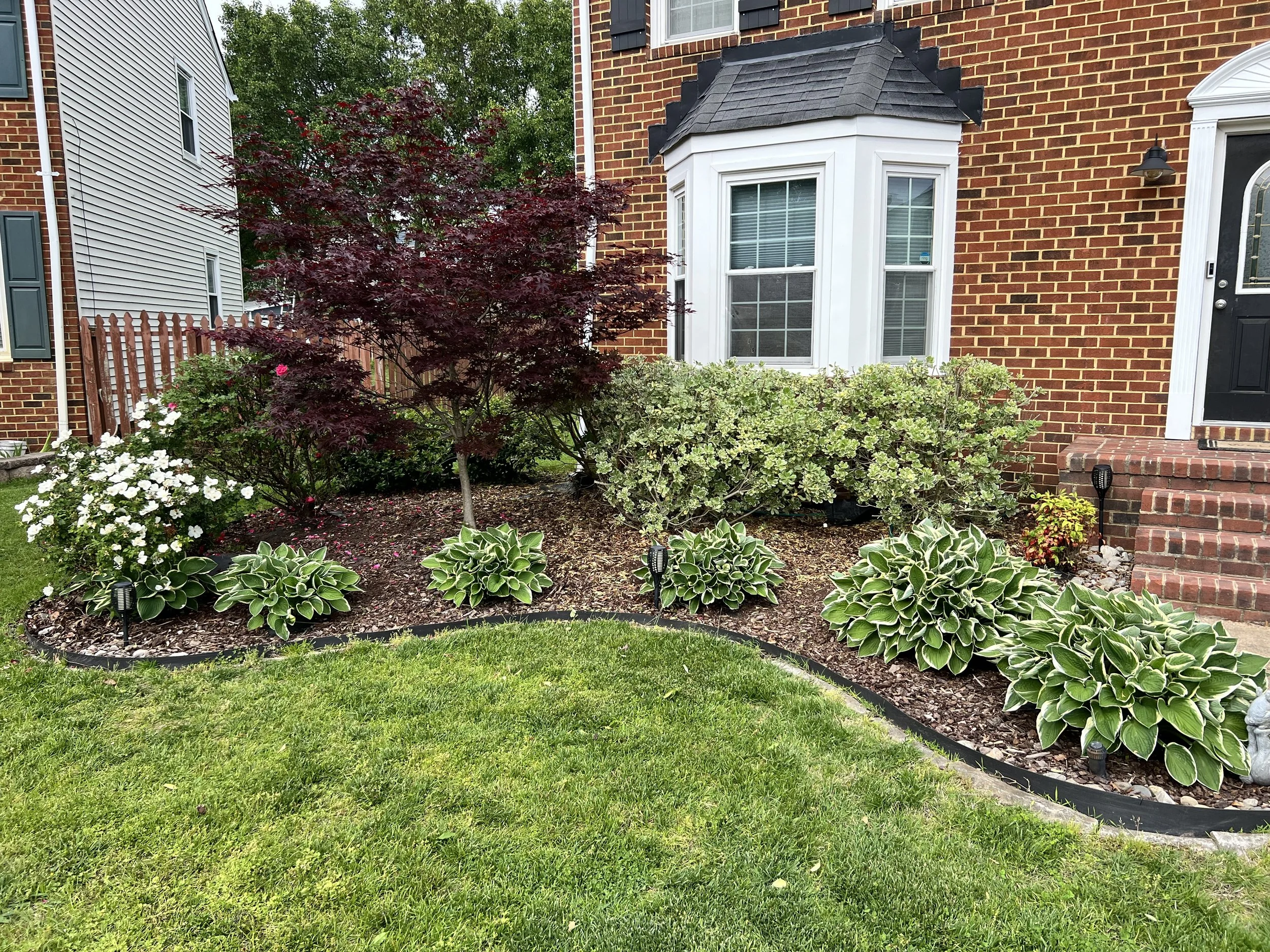 Front yard garden with green grass, shrubs, flowering plants, a small tree with red leaves, and landscape lighting in front of a brick house with white windows and stairs.