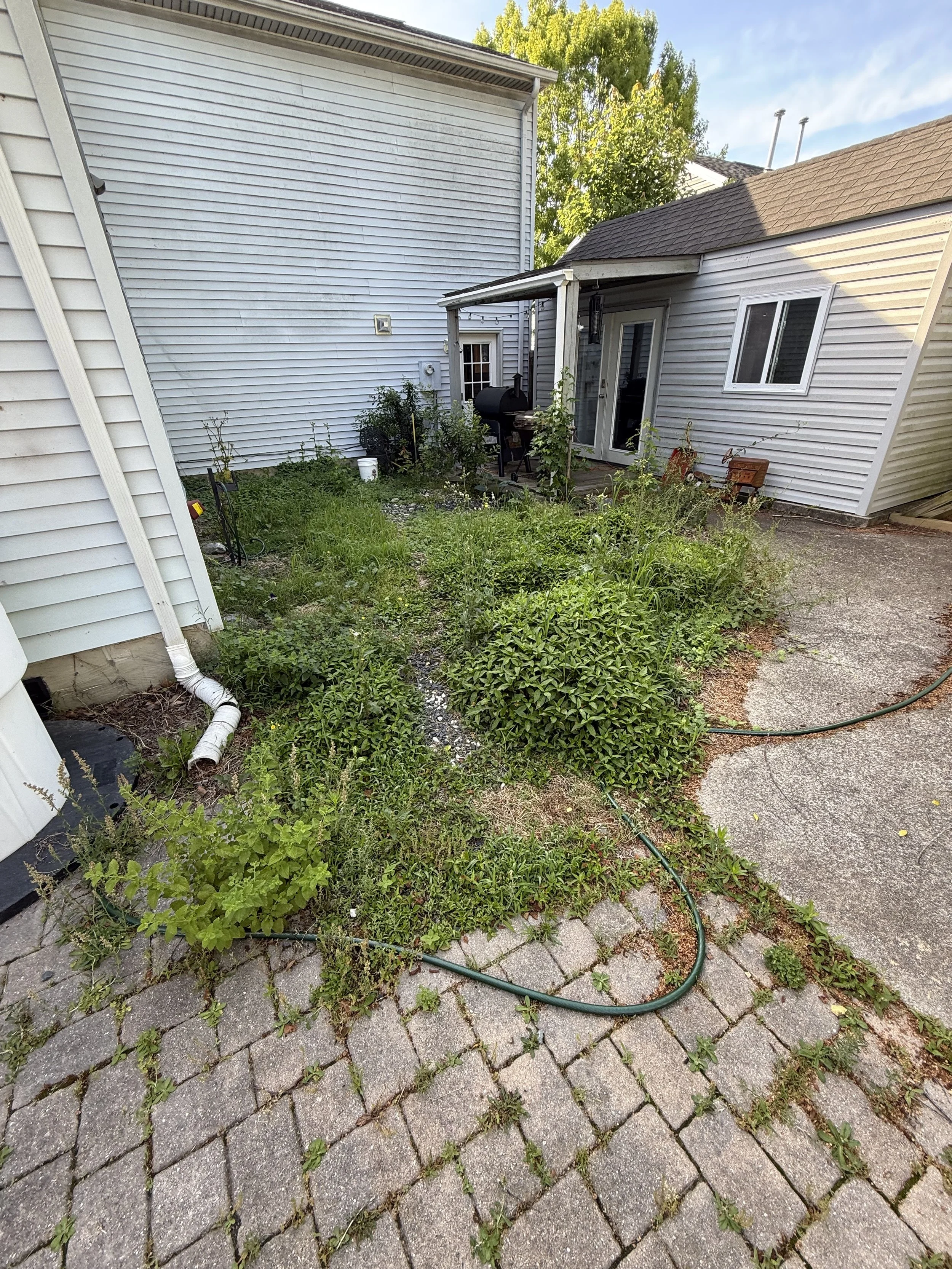 Backyard garden with shrubs, plants, garden hose, and a paved patio area next to a house with siding and sliding glass doors.