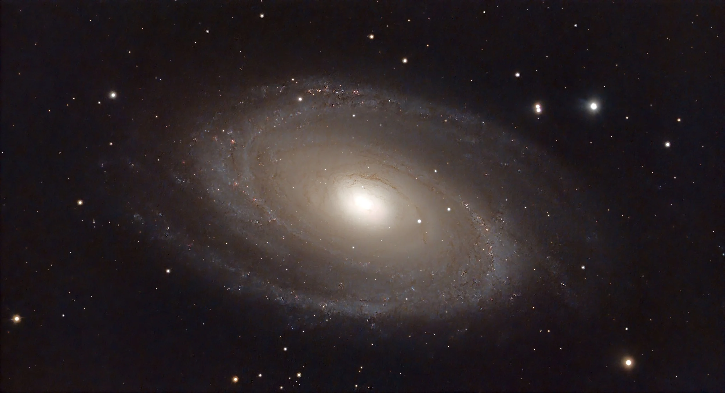 M81