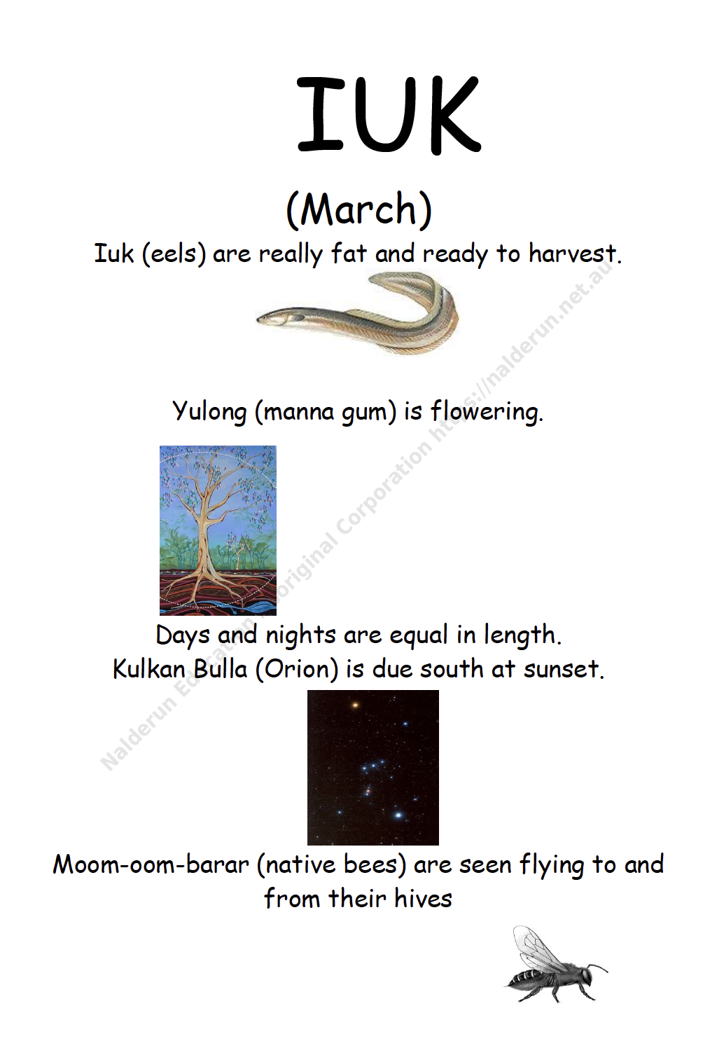 Kulin Time (Seasons of the Year)