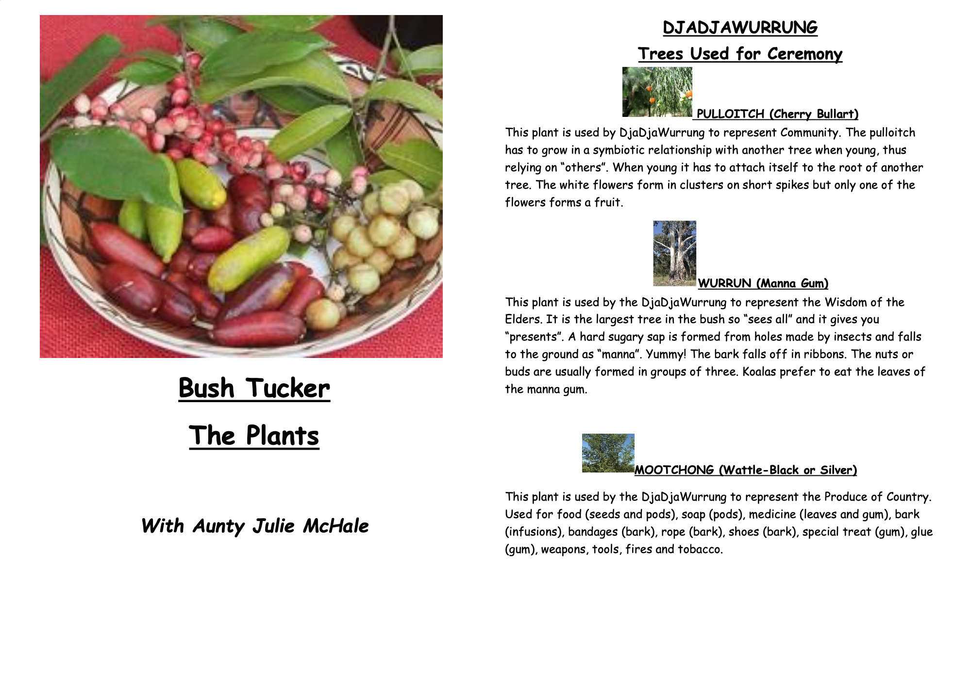 Dja Dja Wurrung Bush Tucker Booklet