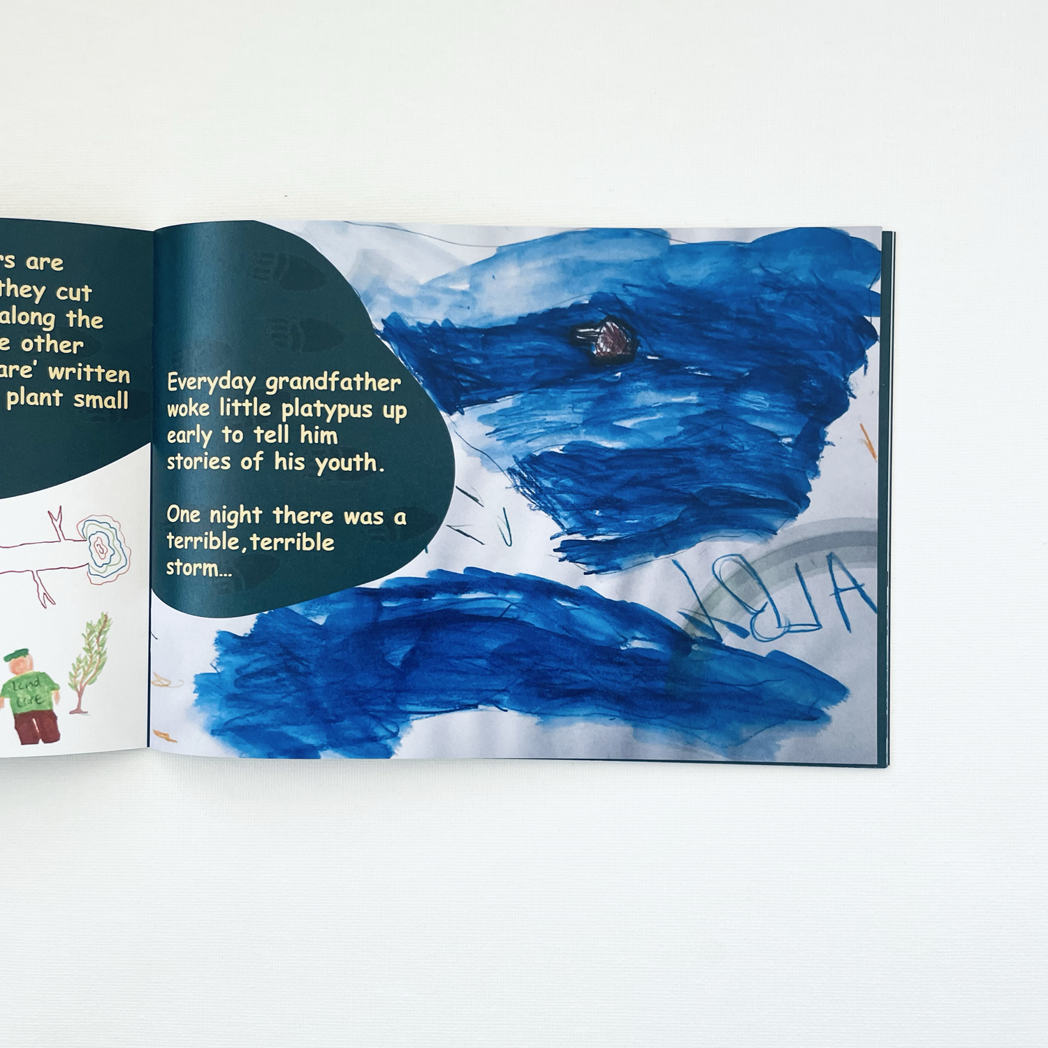 Book-platypus-2.3.png