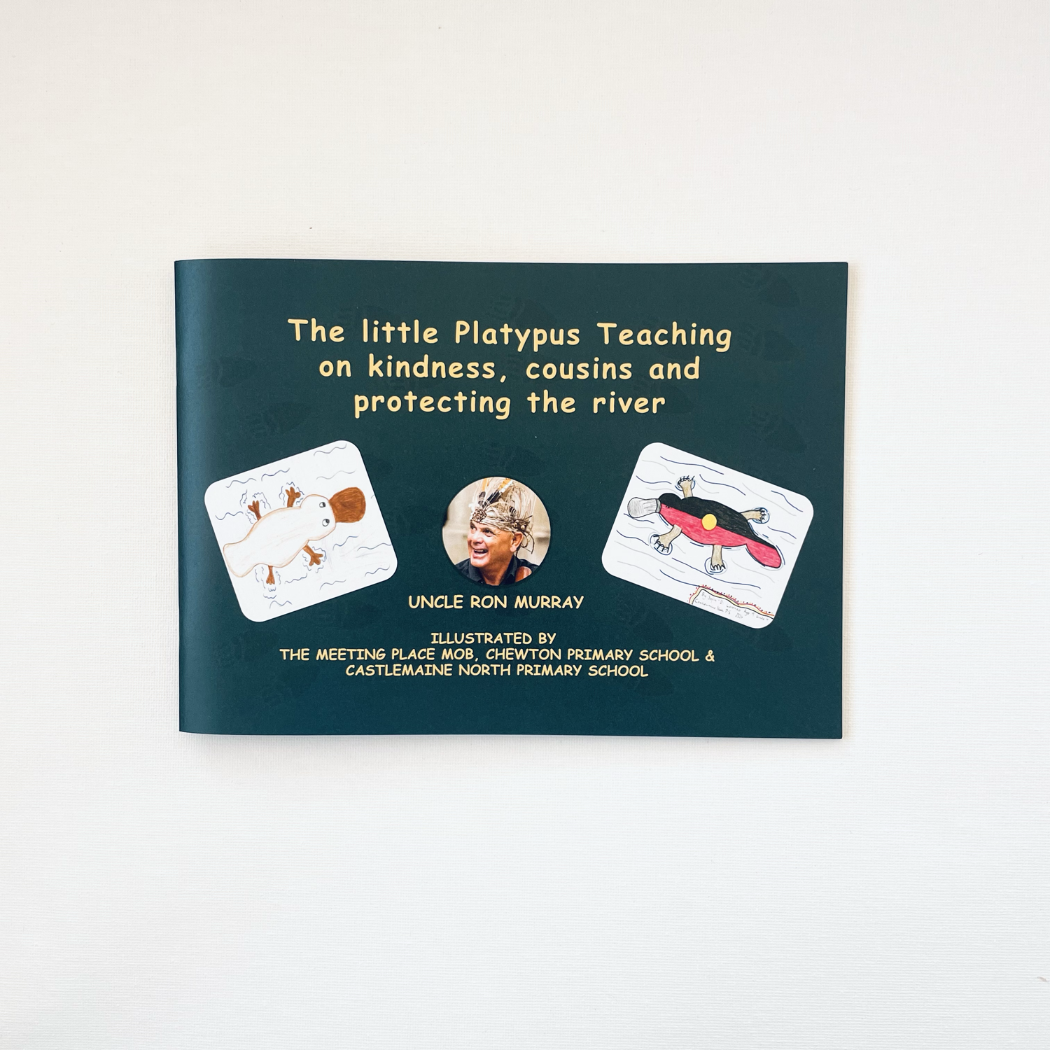 Book-platypus-2.1.png