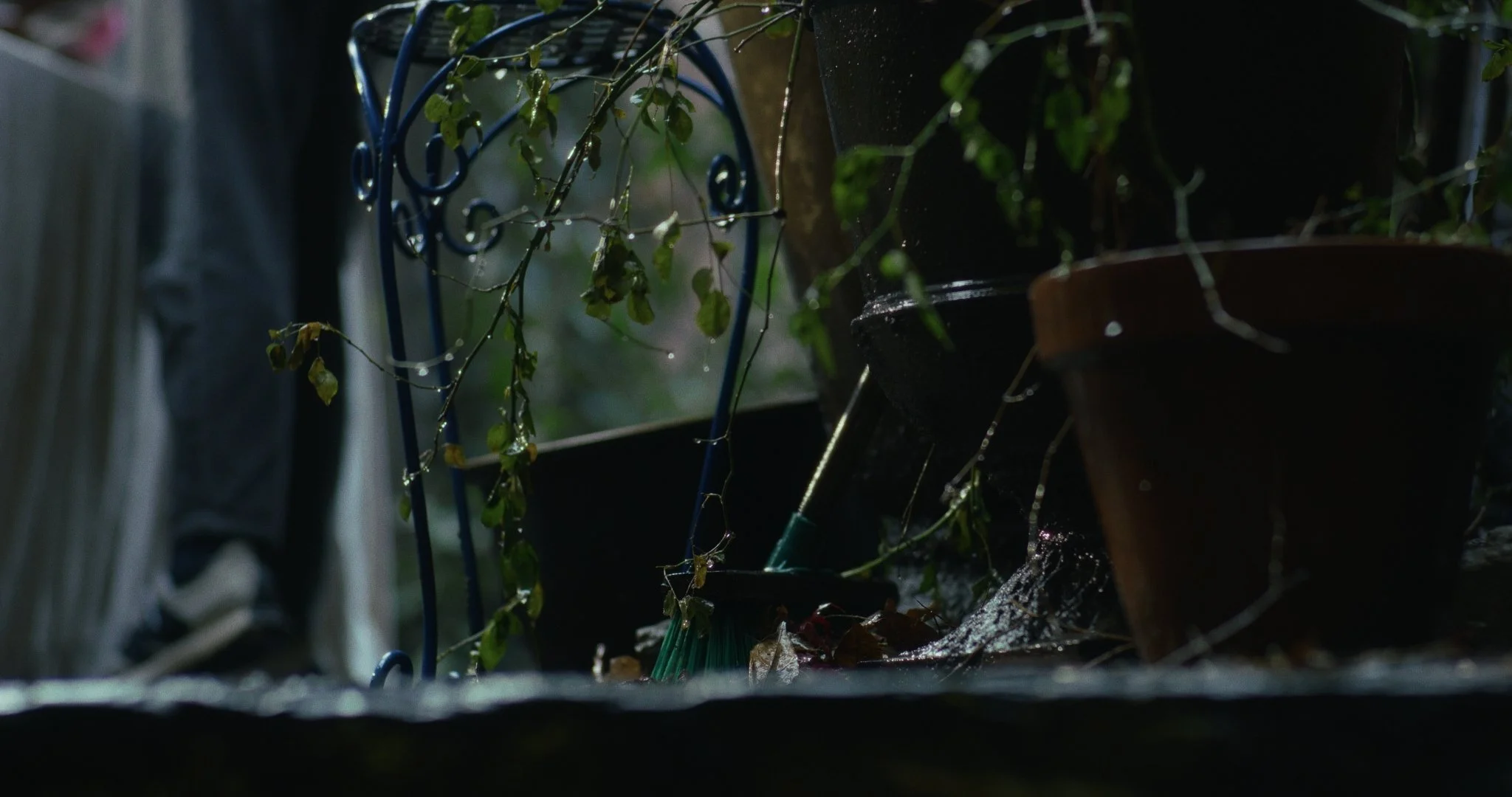 A close-up of a garden corner with potted plants, a small broom, and a green garden sprayer, with sunlight shining through the leaves and watering droplets.