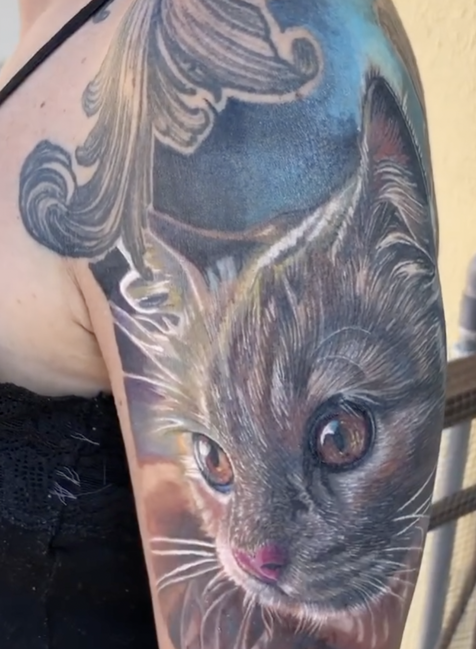 Screenshot 2026-03-22 at 7.47.33 PM.png