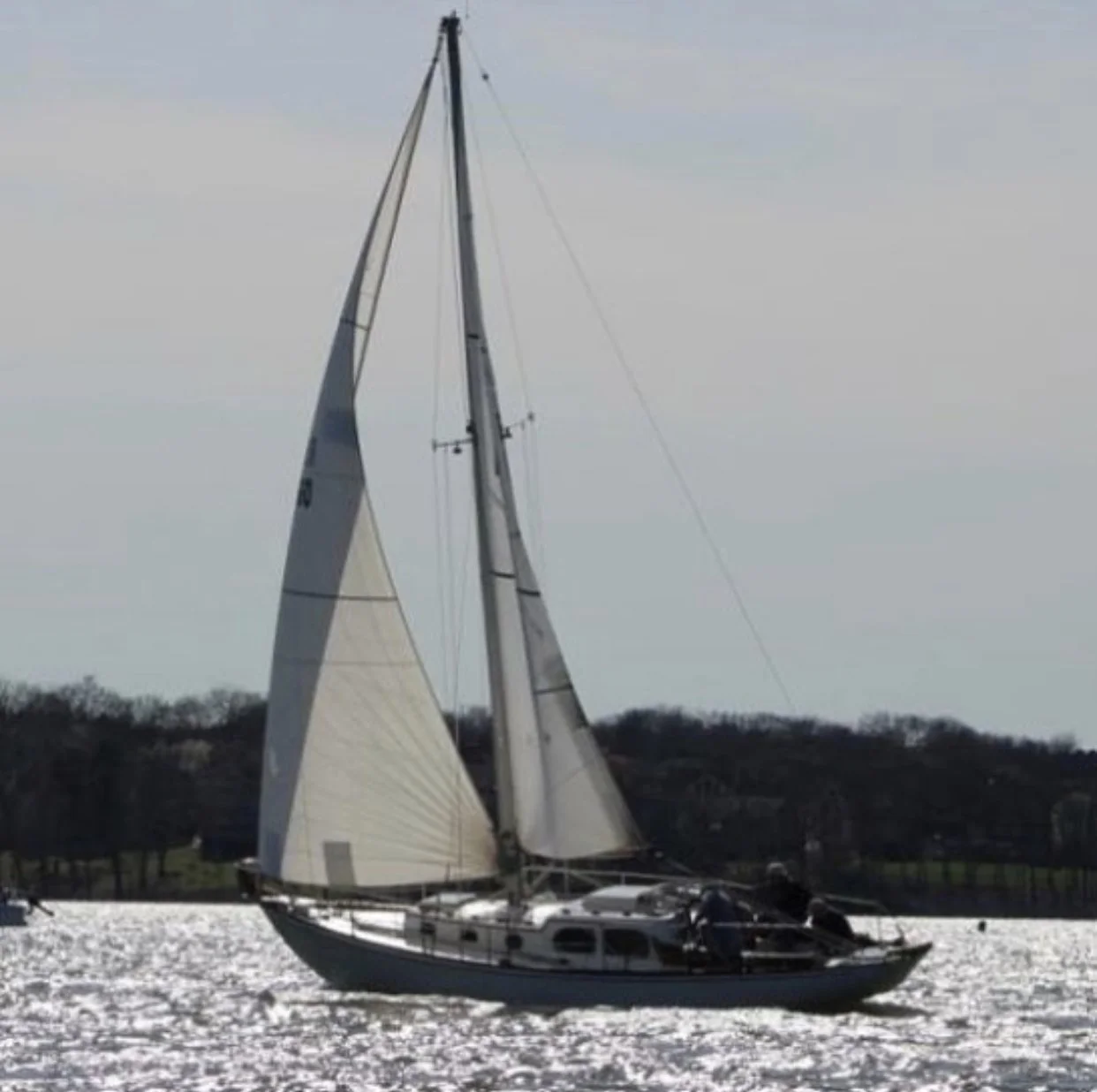 Ark Built Carpentry founder Matt Behnke's sailboat with white sails sailing on a body of water with a distant shoreline and trees in the background.