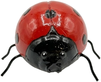 Lady Bug Knick Knack