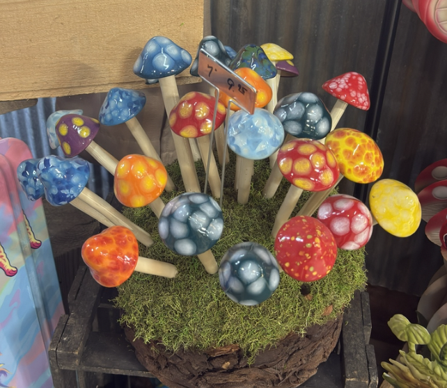 Image 4-11-26 at 9.47 PM (2).png