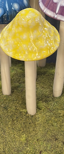 Image 4-11-26 at 9.45 PM (1).png