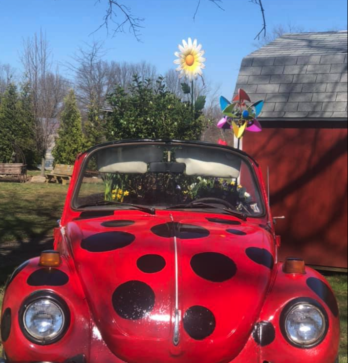 A red Volkswagen Beetle decorated with large black polka dots resembling a ladybug, with plants and a painted pinwheel in the background. Lady Bug Lawncare & Landscaping in Massillon, Ohio