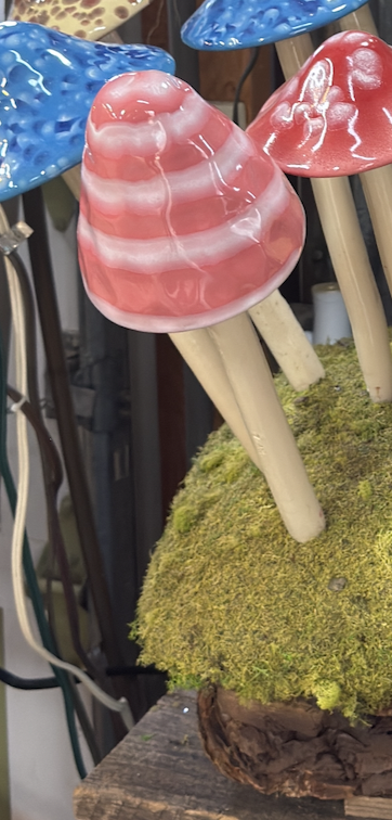 Image 4-11-26 at 9.45 PM.png