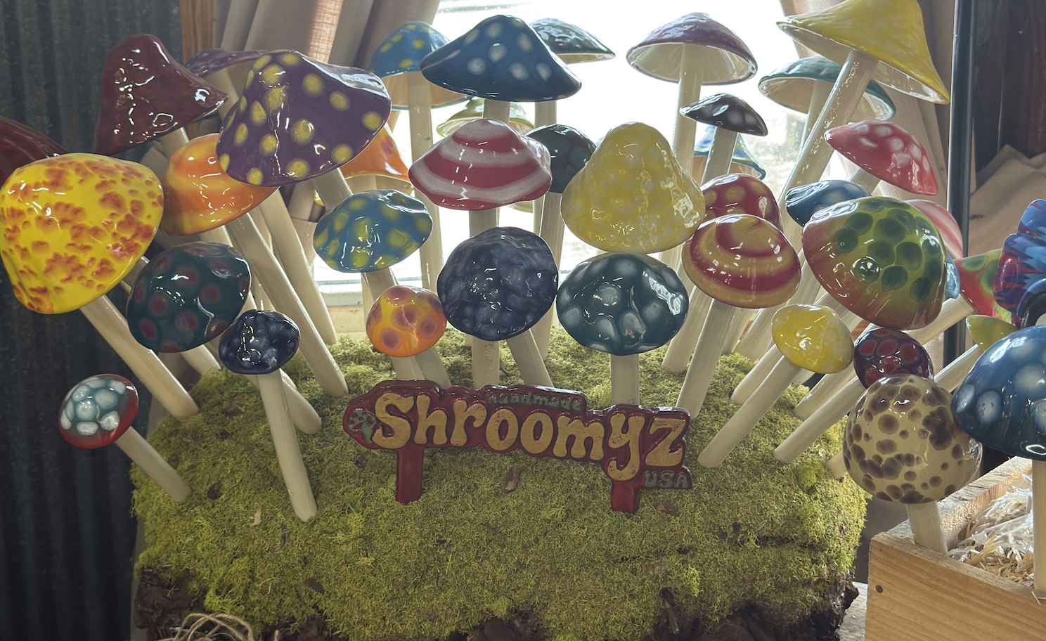 Image 4-11-26 at 9.47 PM (1).png