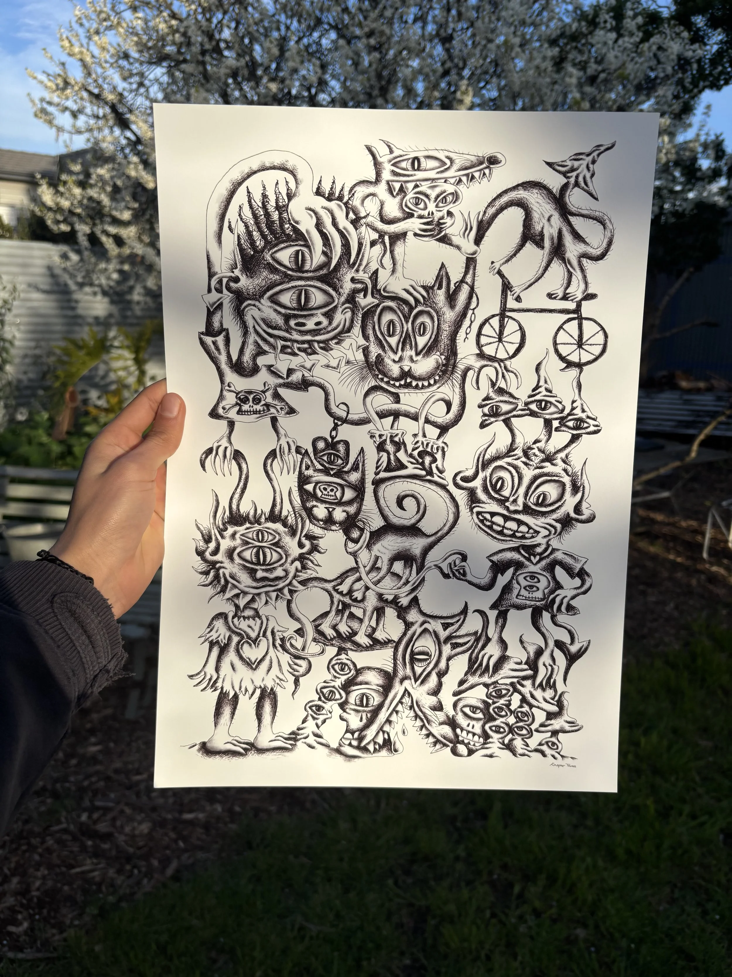 IMG_8769.jpeg