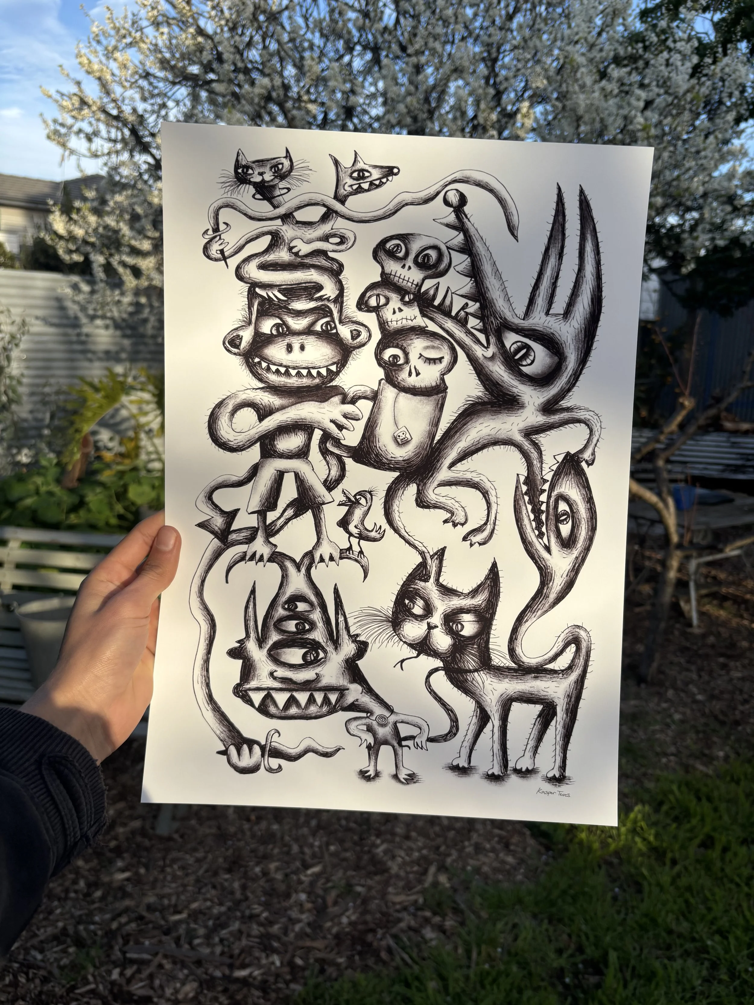 IMG_8771.jpeg
