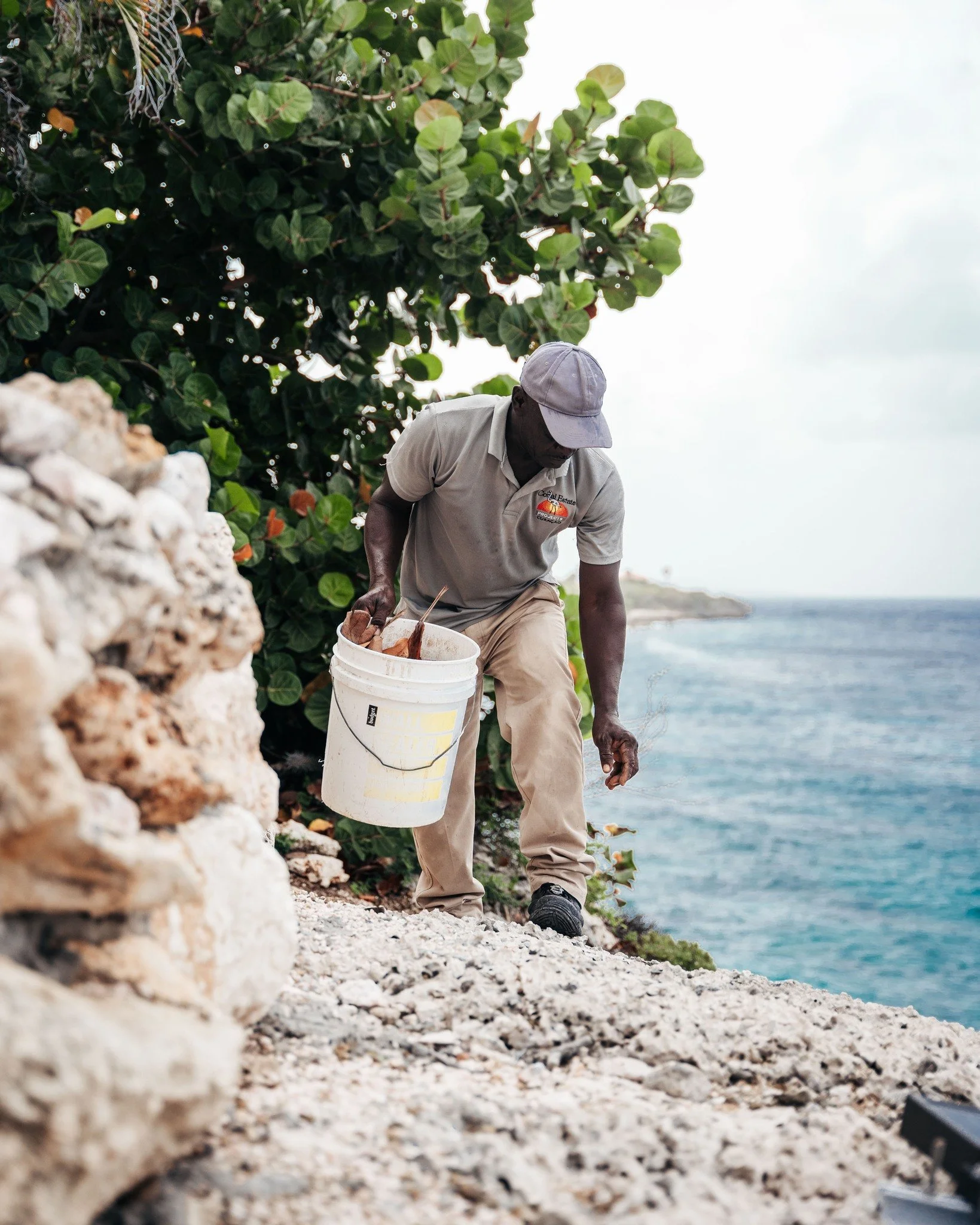 Coastline living requires that extra touch in maintenance, let our team take care of the work!