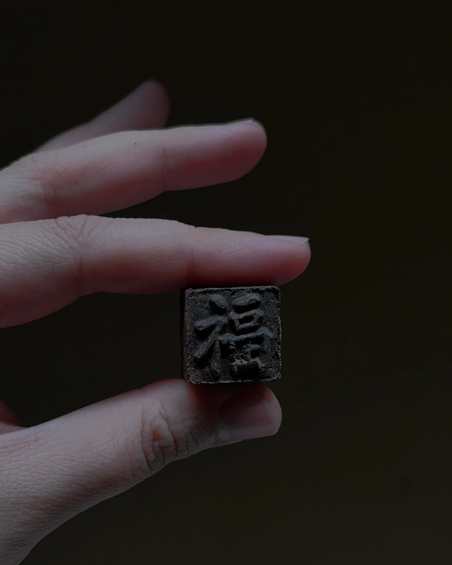 Puerh Fu ripened 2017