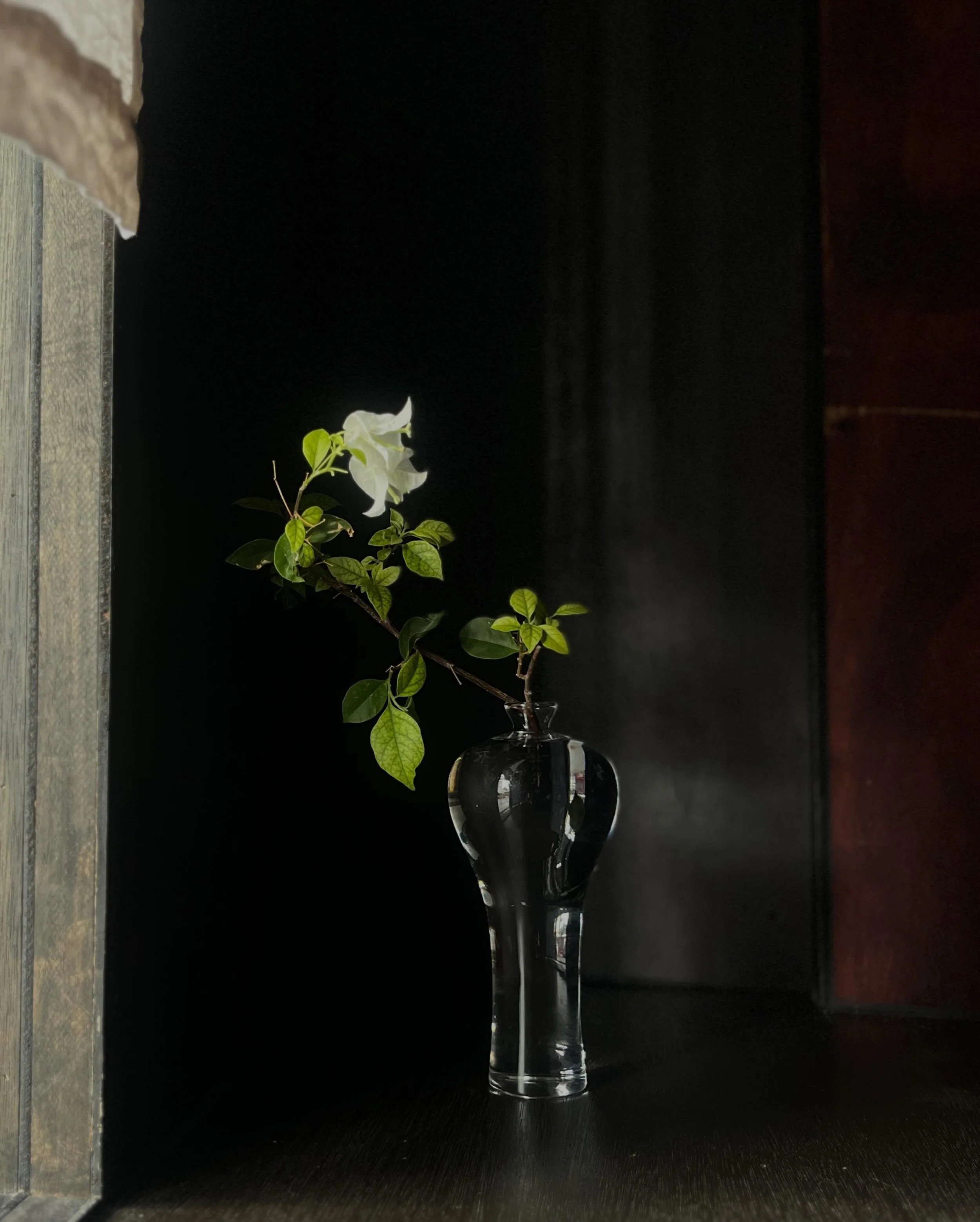 💆🏻&zwj;♀️
Hey, we&rsquo;re closed today and will reopen next Wednesday, 20 May.
Please check seat availability before coming 🤎🪑
「花」flower service : @bluein.green 
。
。
。
May, 2026 : Opening Hours

20/05 ■ 19.00~23.30
21/05 ■ 19.00~23.30
22/05 ■ 19