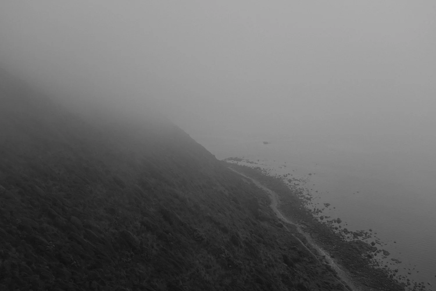 48_Camus_Wyatt - the path_14.jpg