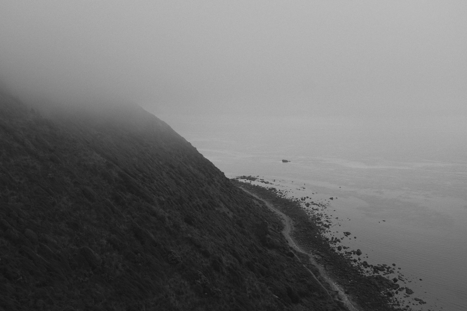 47_Camus_Wyatt - the path_12.jpg