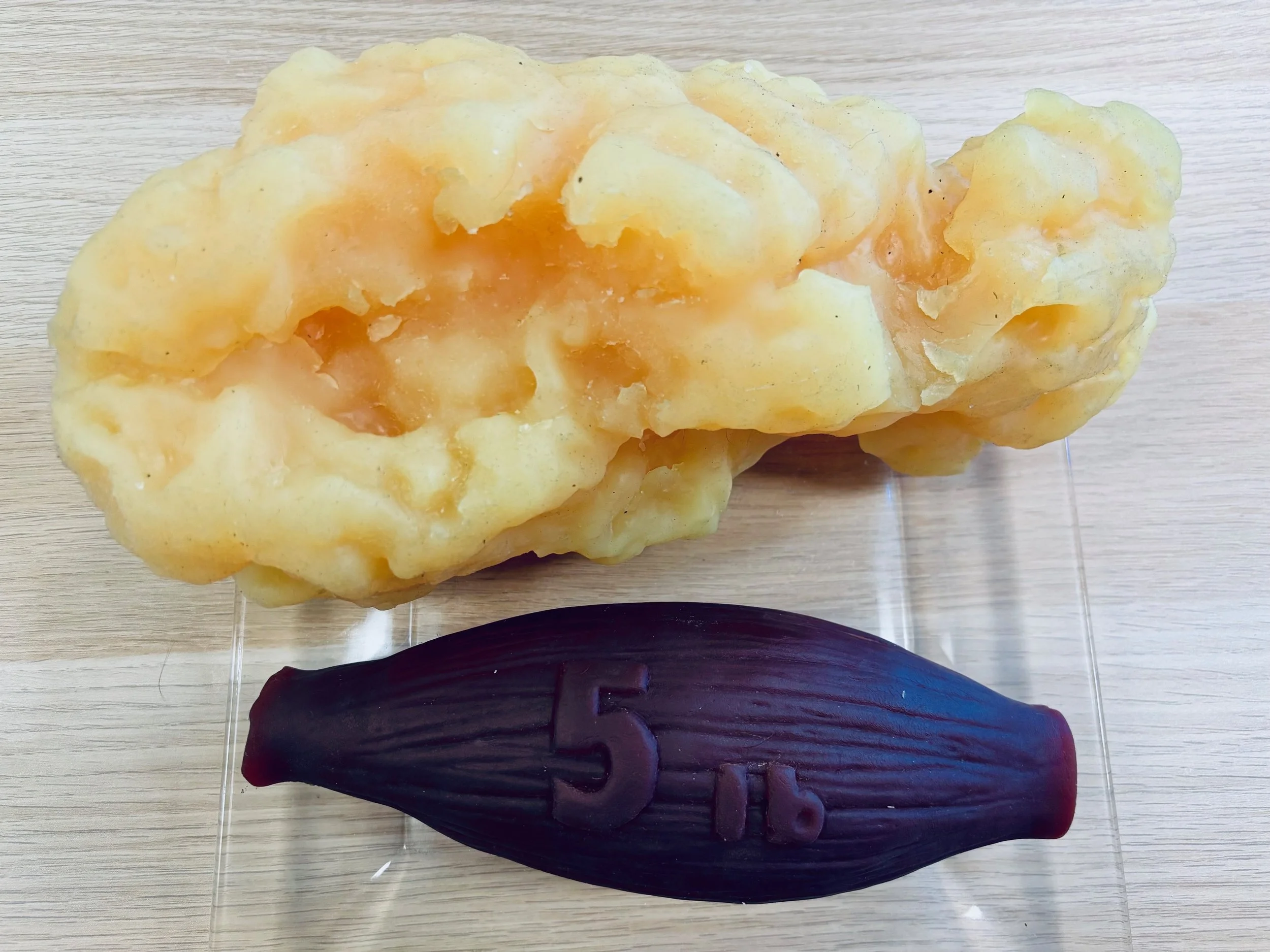 A photo showing a comparison of five pounds of fat next to five pounds of muscle. The fat takes up much more space than the muscle.