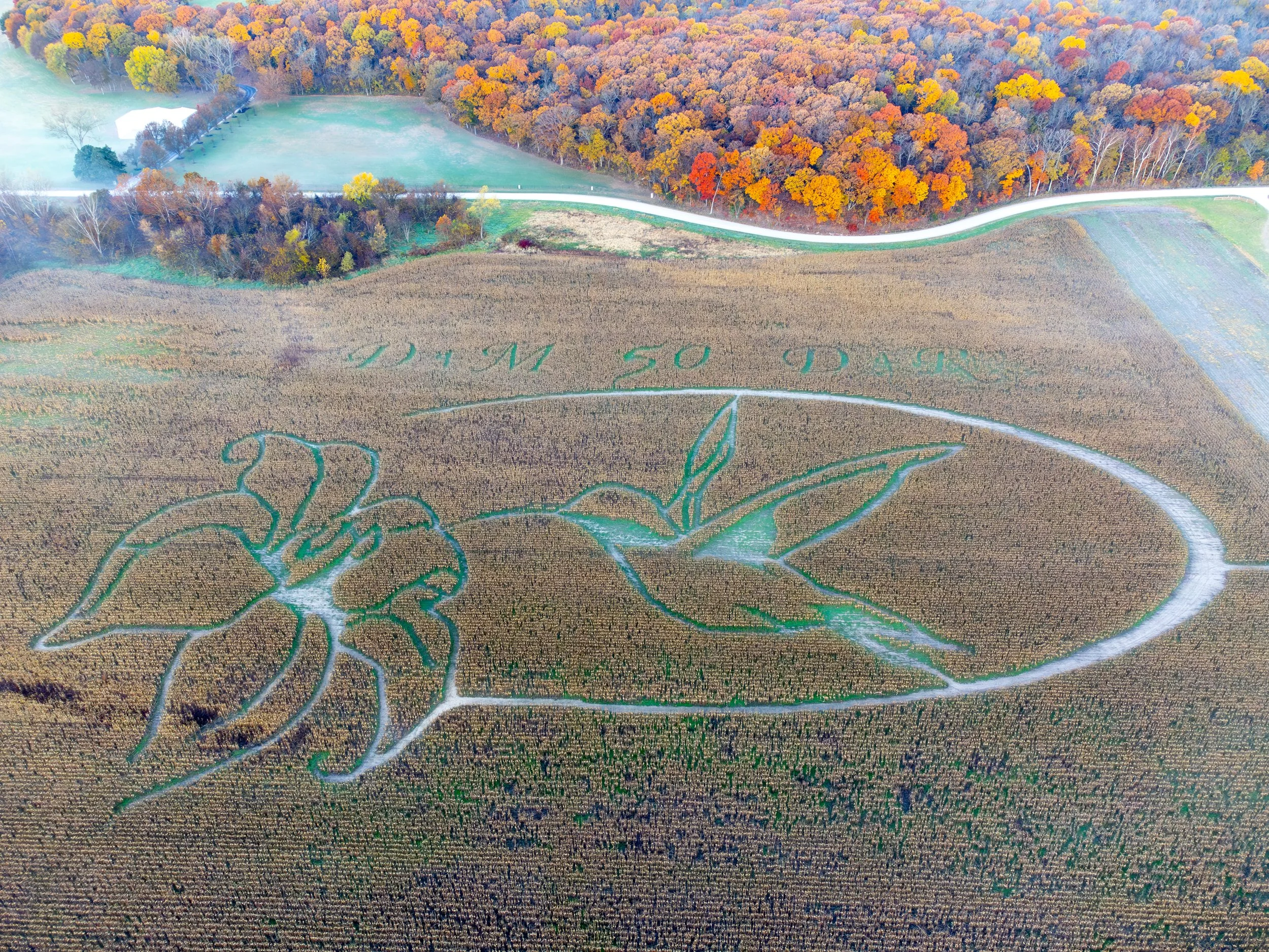 Custom Drone Services