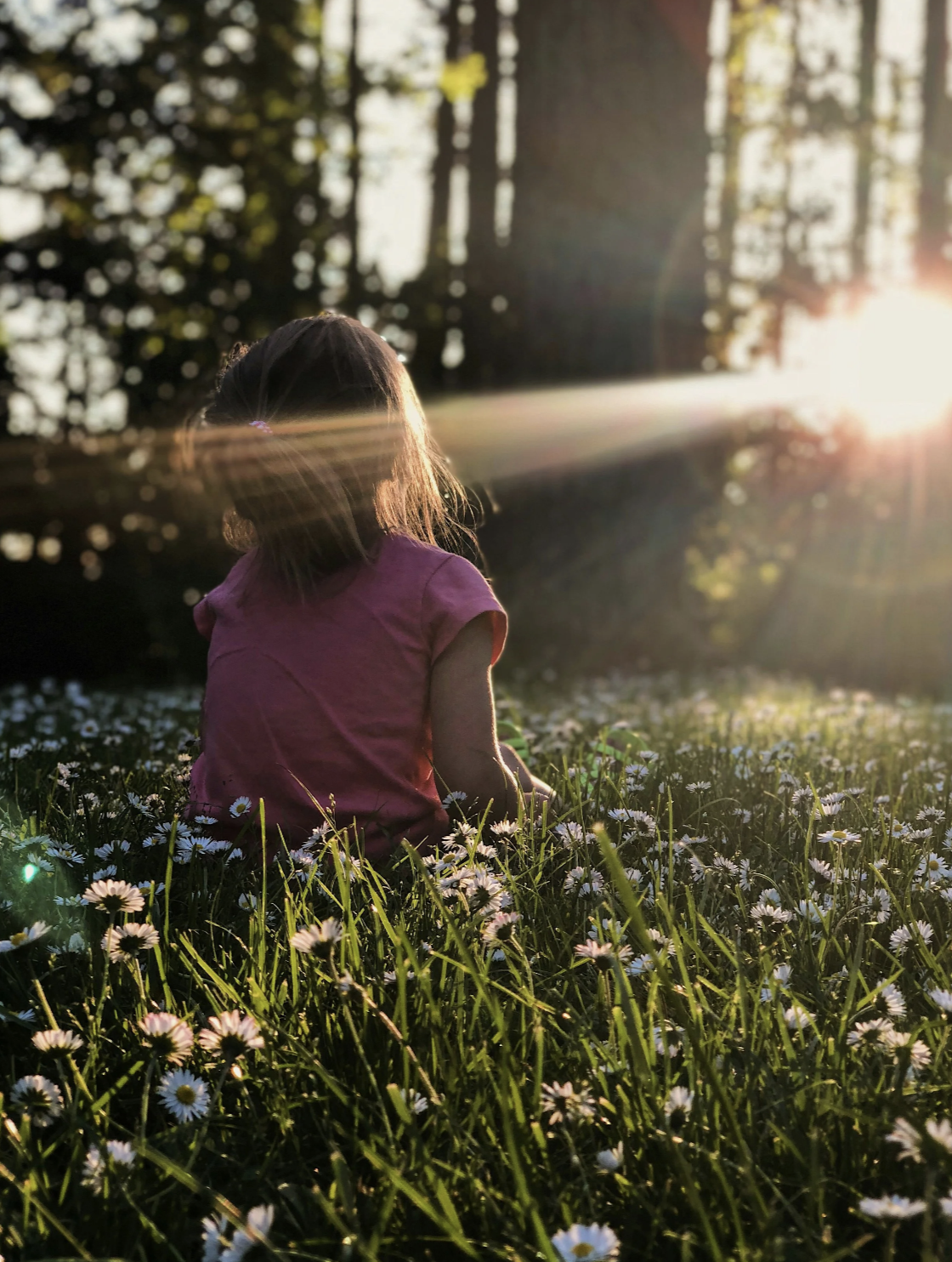 Grounding Meditation Healing 🌿⚡