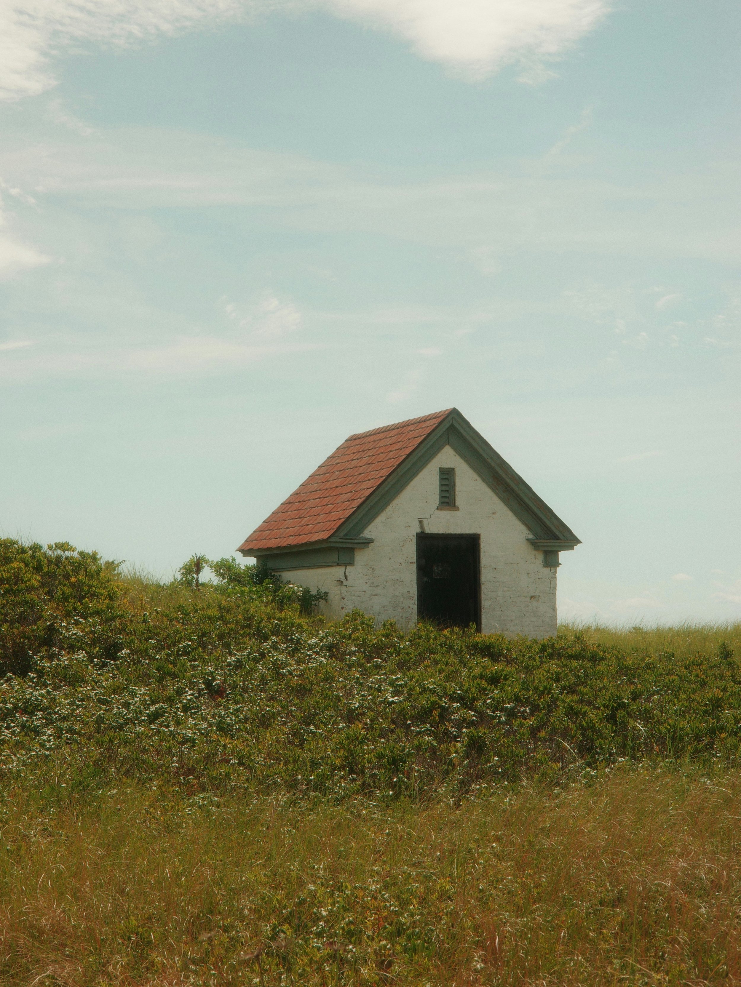 Environmental Clearing