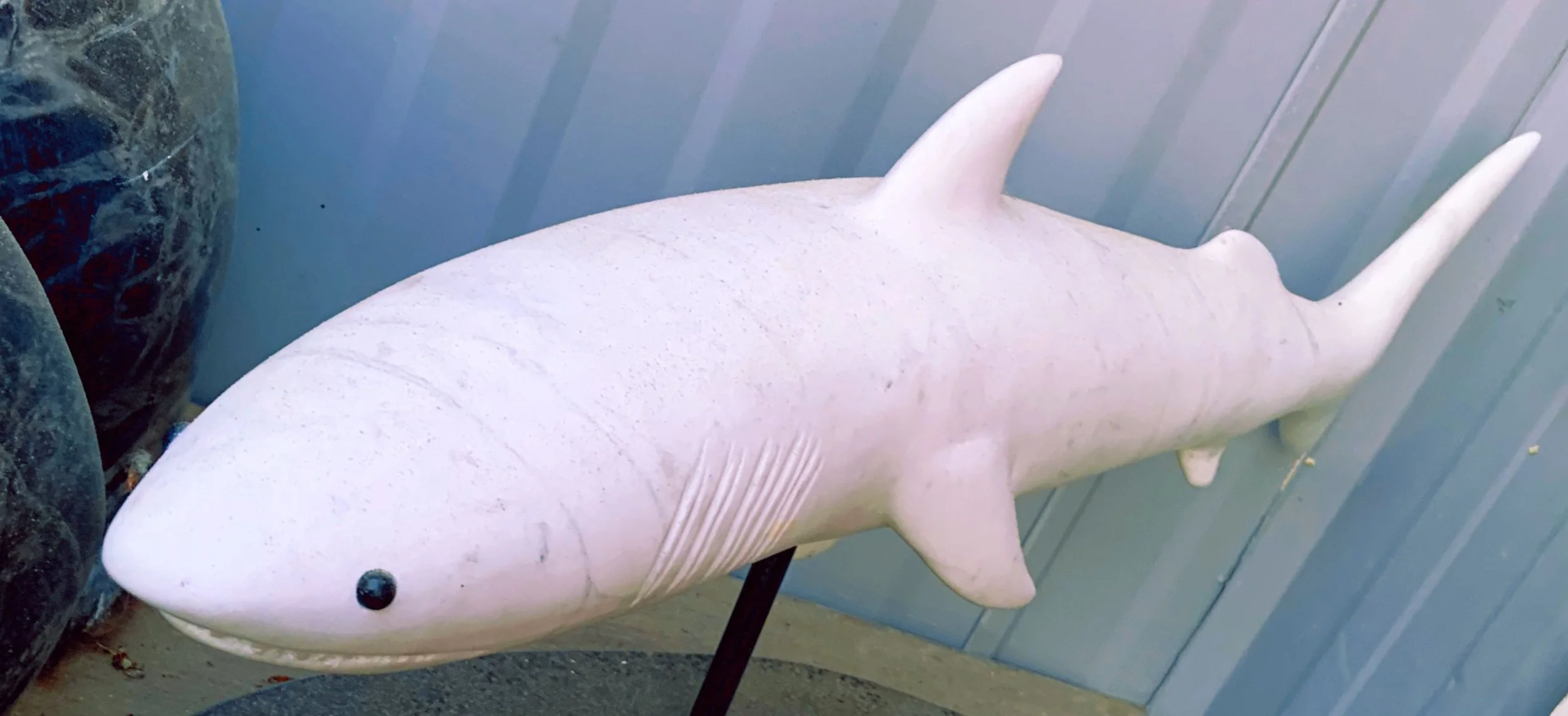 Shark Stone Sculpture by Raymond Scudder