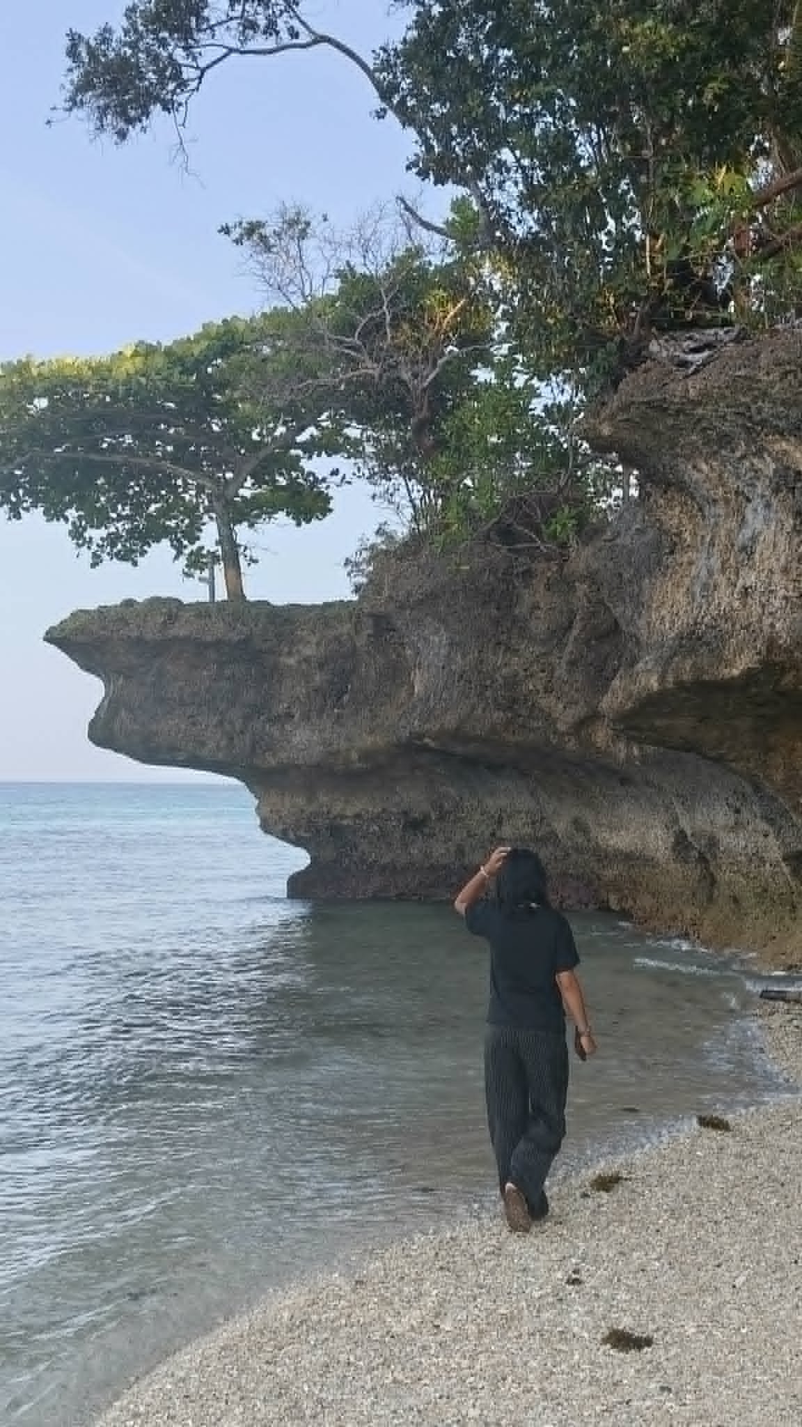 A person walking along the shoreline next to a large rock formation with trees growing on top, overlooking the water.
