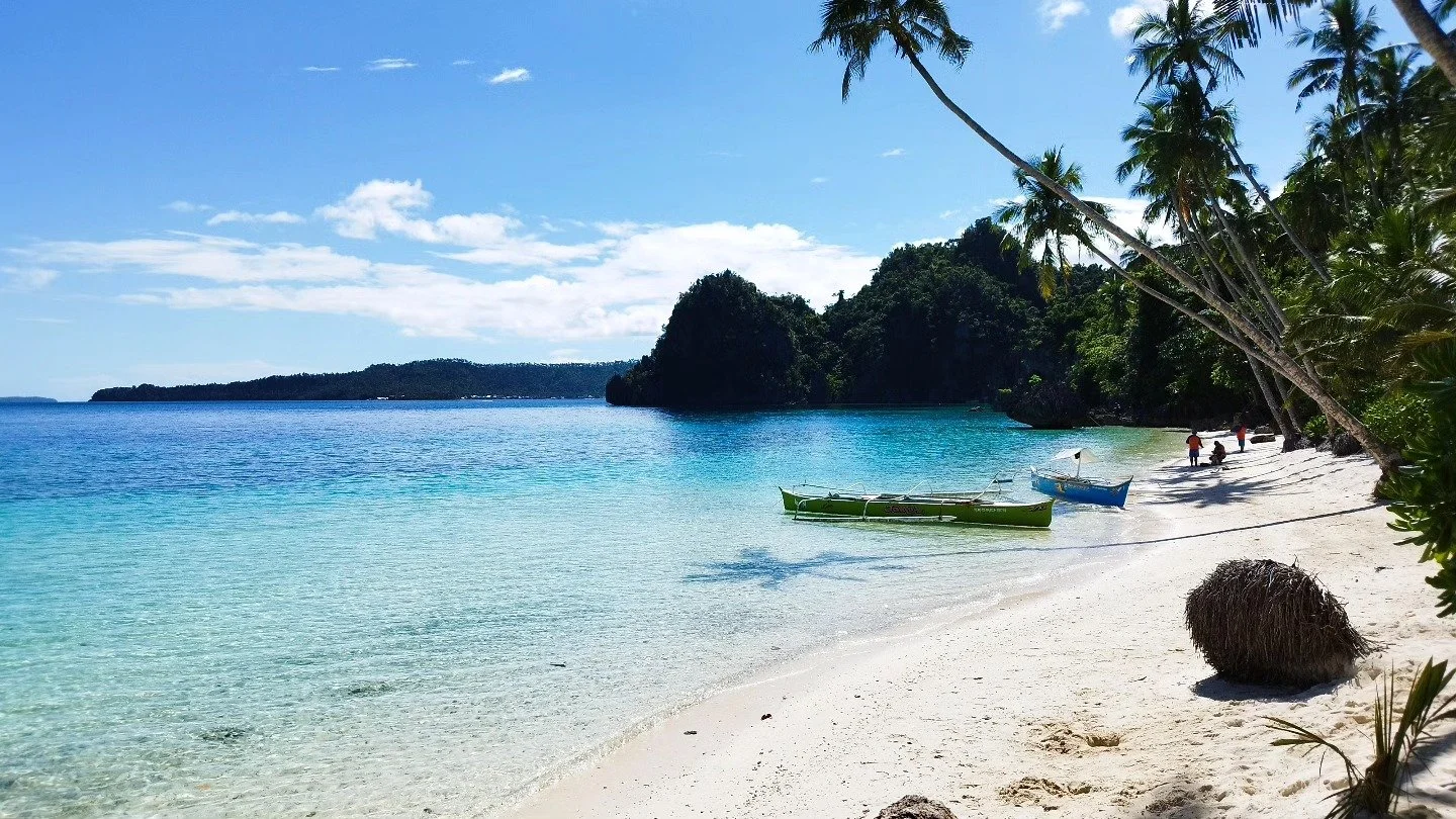 Tropical beach scene with white sand, turquoise water, lush green trees, and boats anchored near the shore. A few people are walking and relaxing on the beach, with umbrellas and palm trees visible.