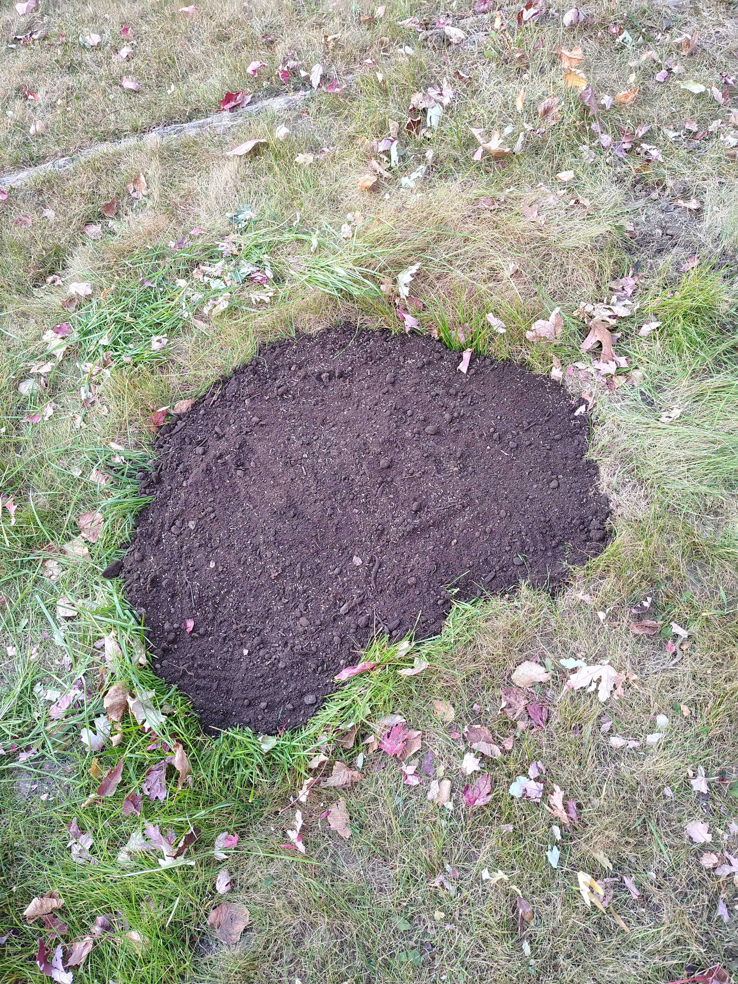 Ground Restoration