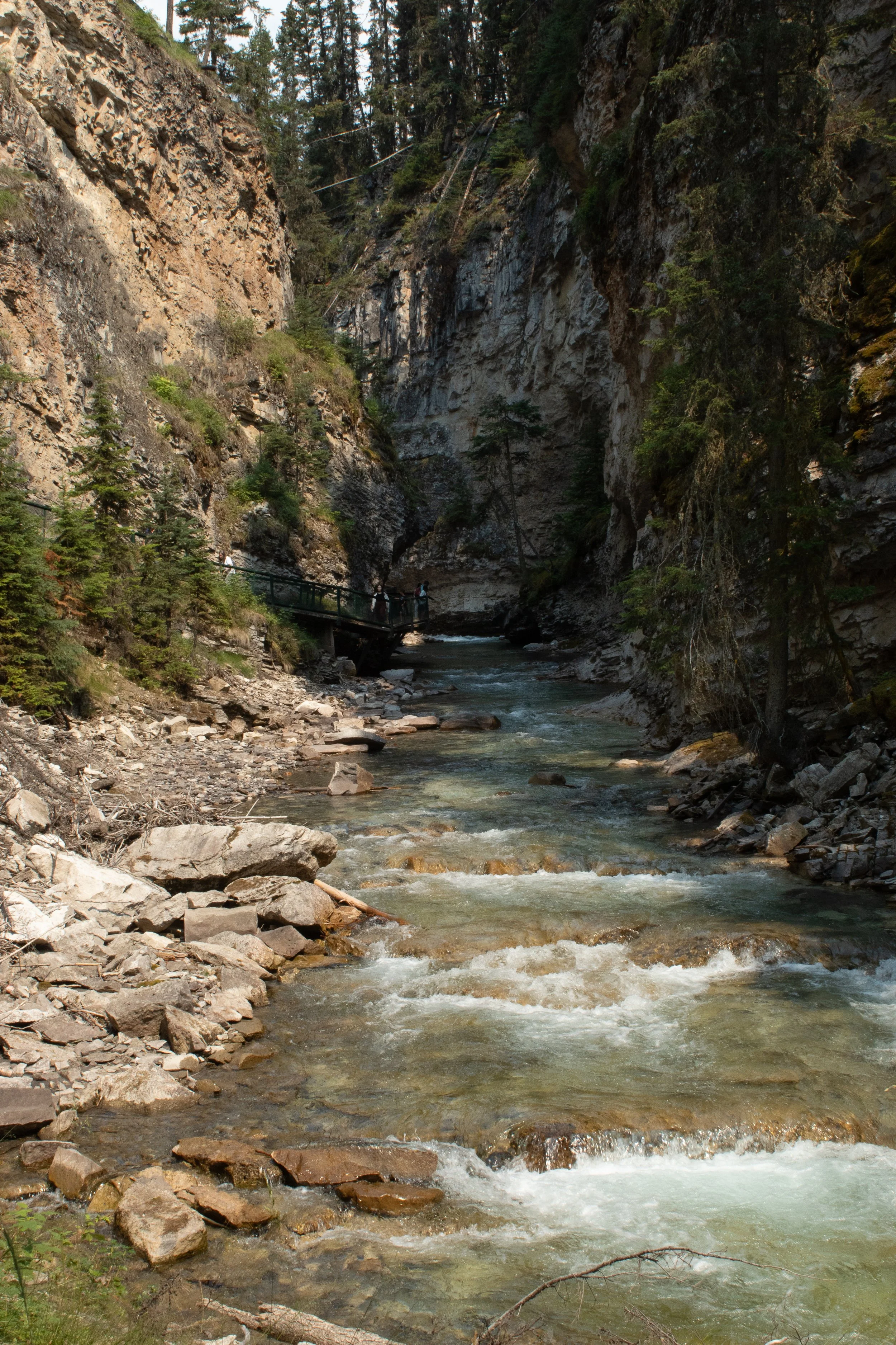 A narrow river flowing through a rocky canyon with steep cliffs and trees on both sides.