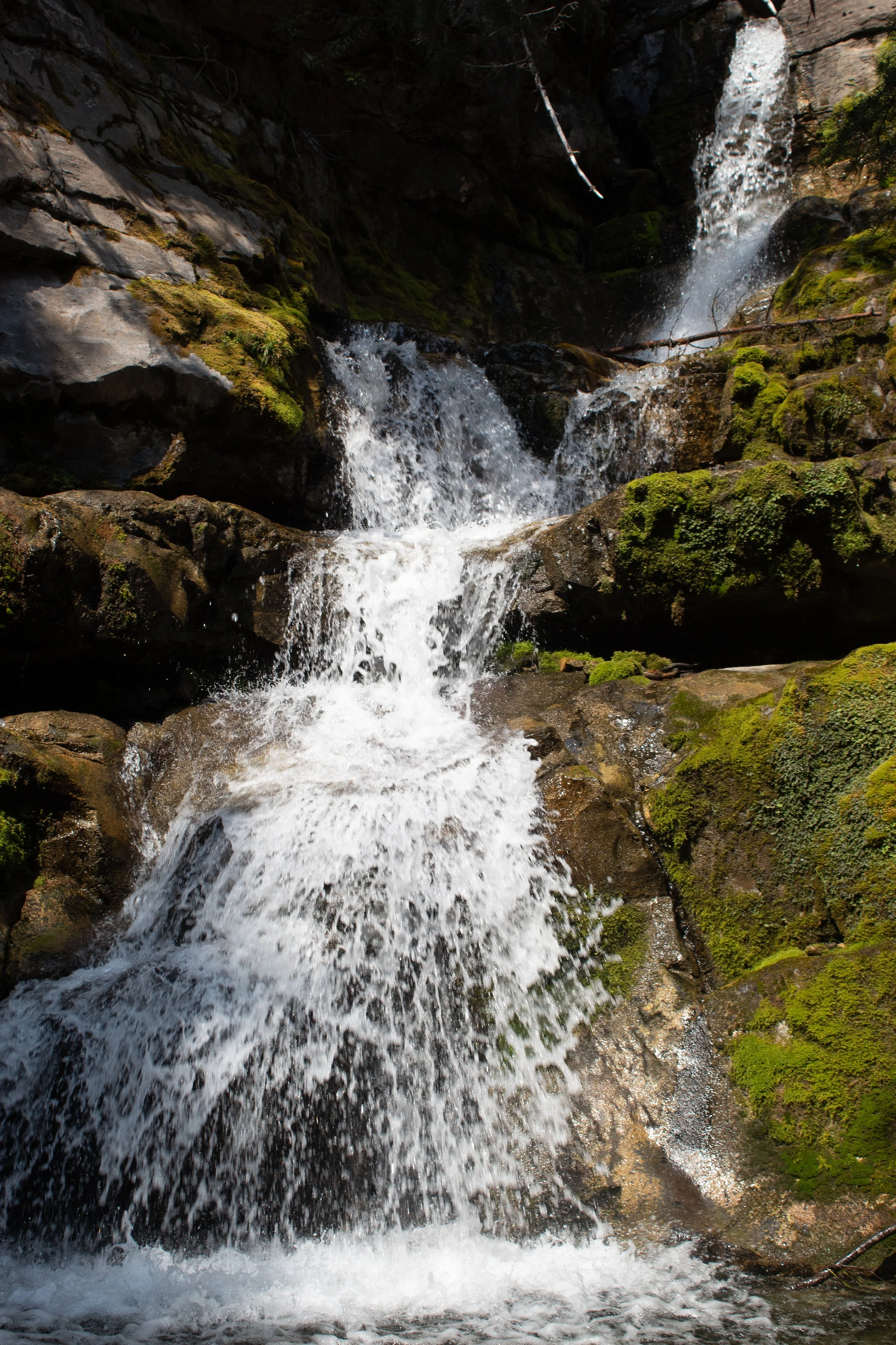 A small waterfall cascading over moss-covered rocks in a forest.