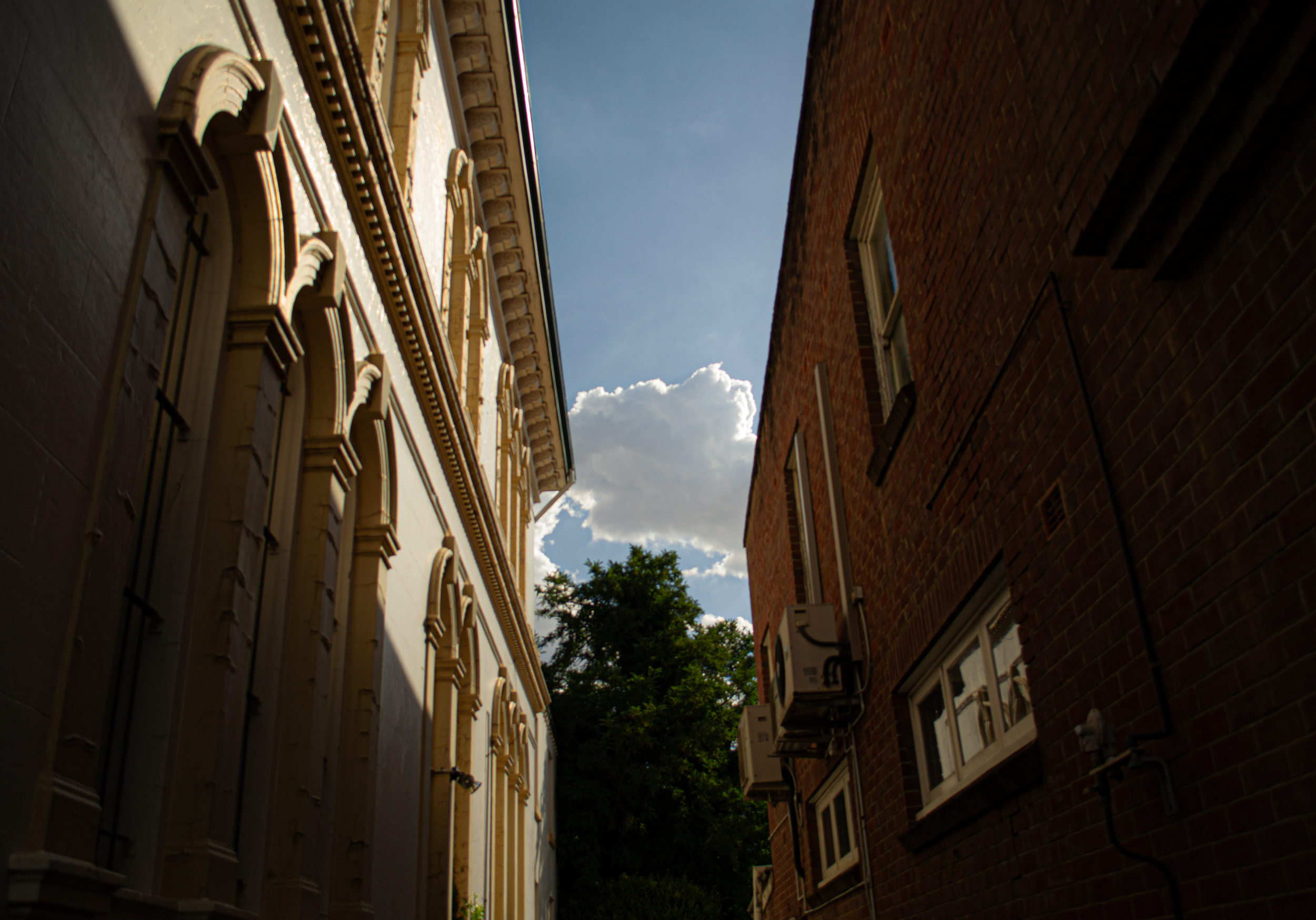 RoadTrip_Alley.png
