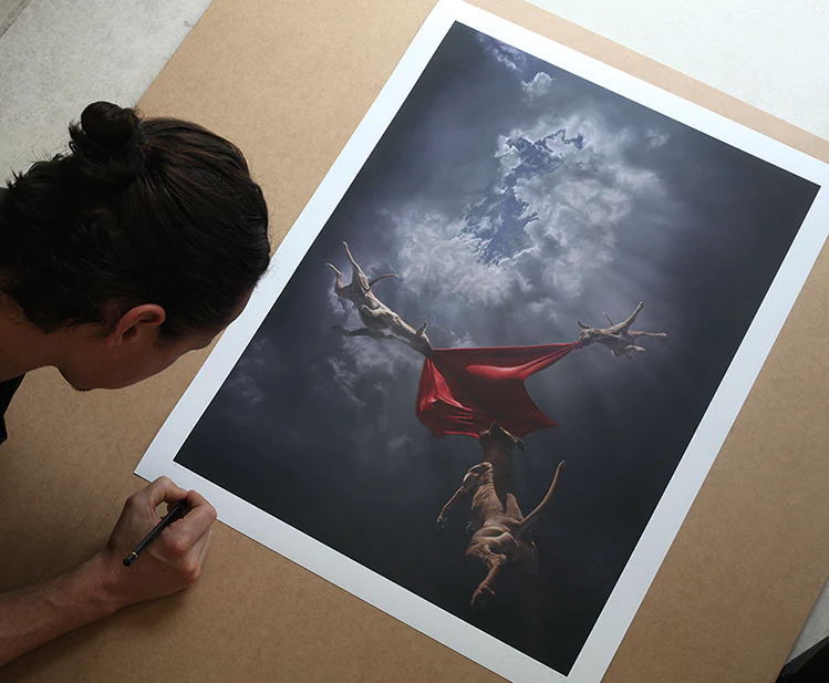 jr_returntogenesis (2016)1.png