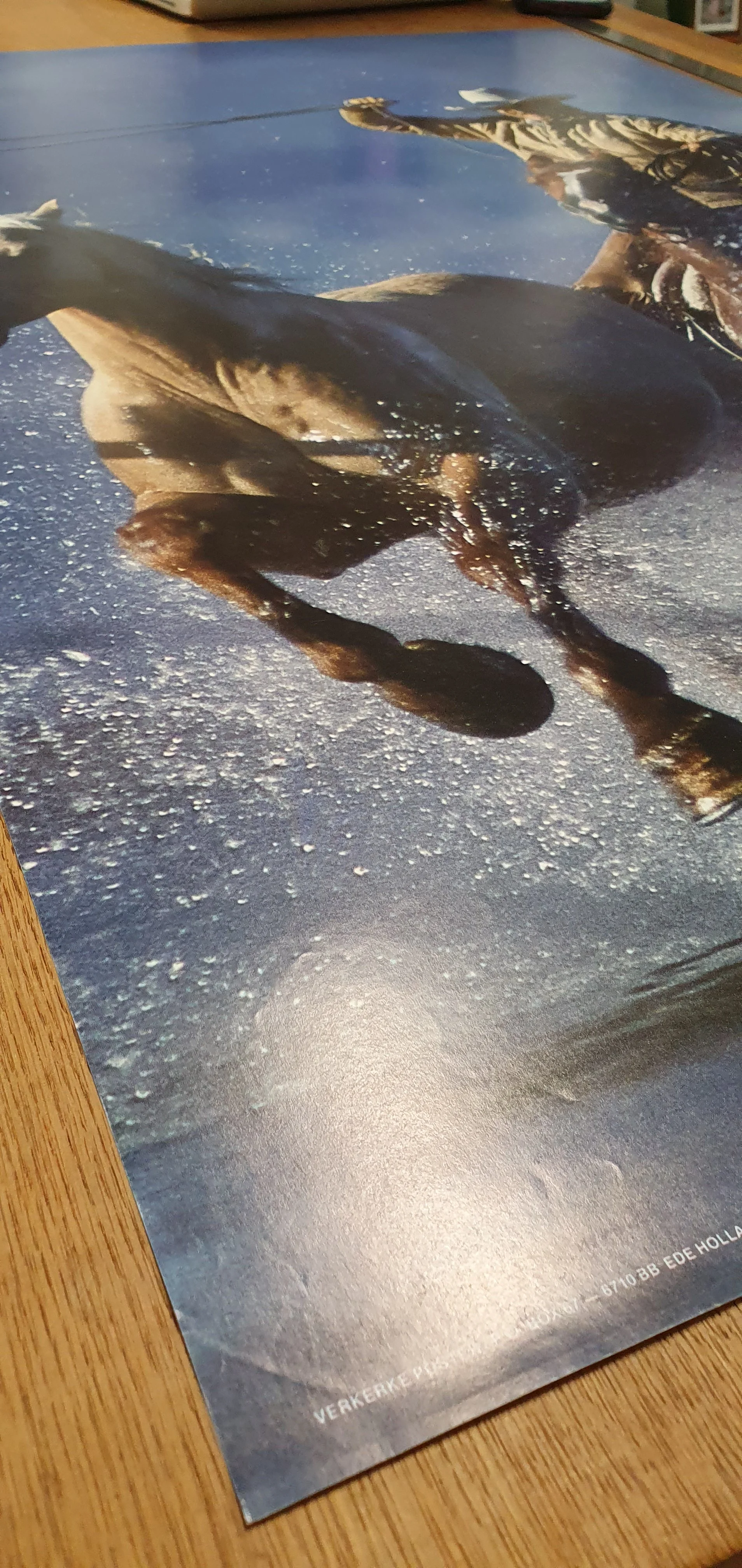 COWBOY Lol Ink 620x930 2.jpg