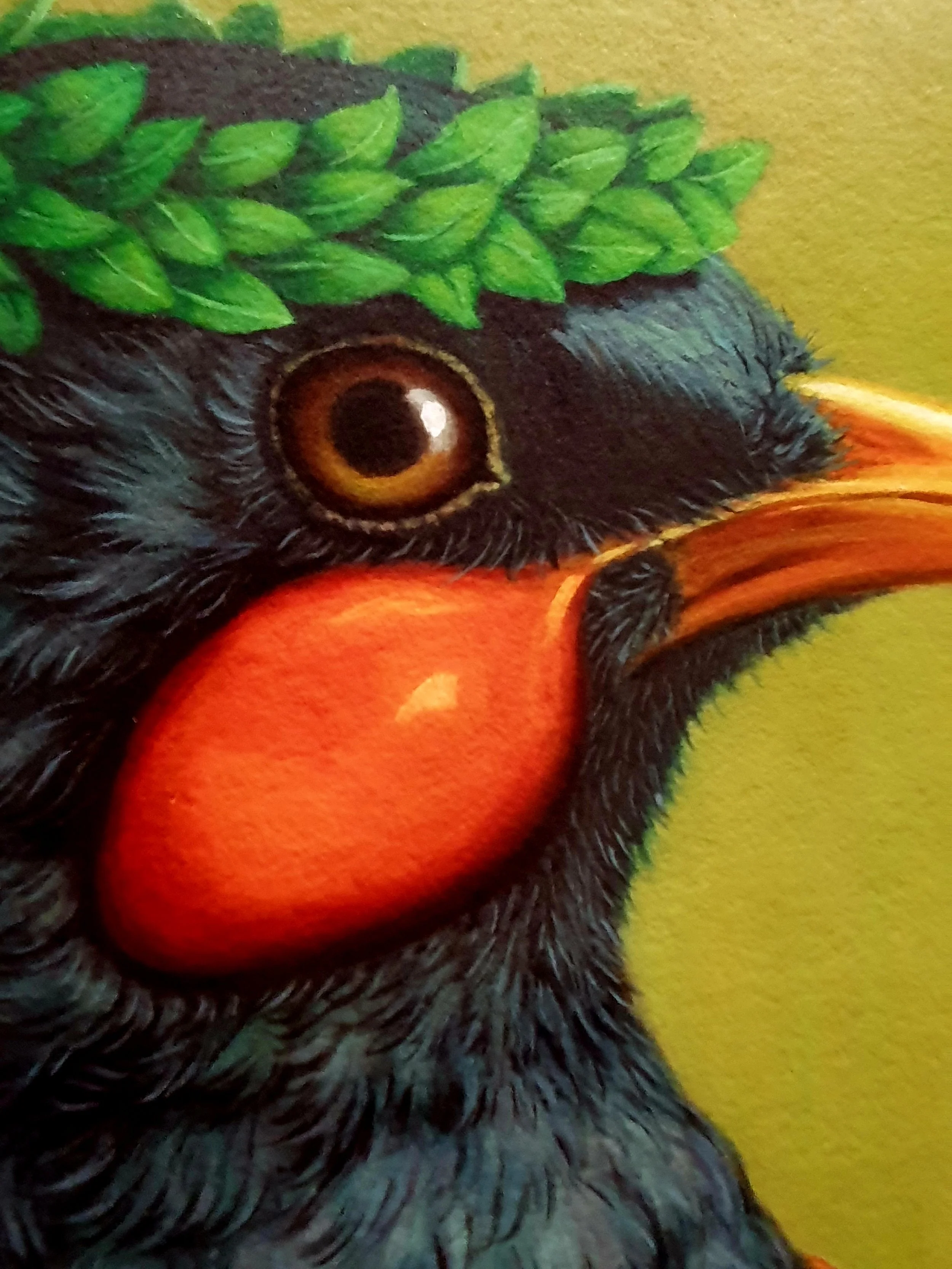 RW-MANA-HUIA-C3.jpg