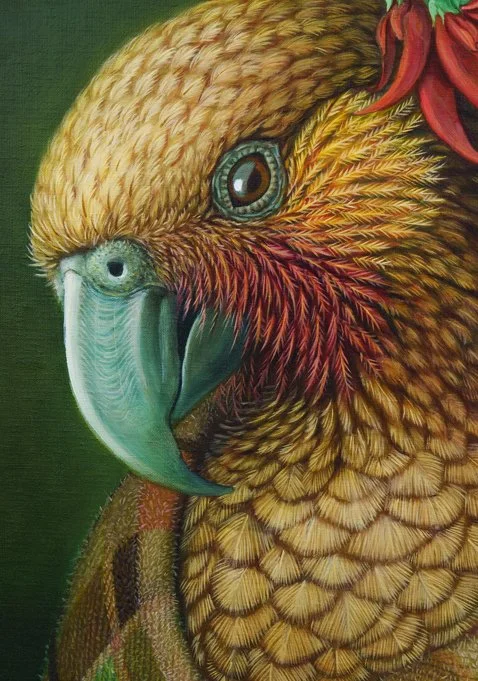 RW-KOWHAI0NGUTU-KAKA-Thumb.jpg