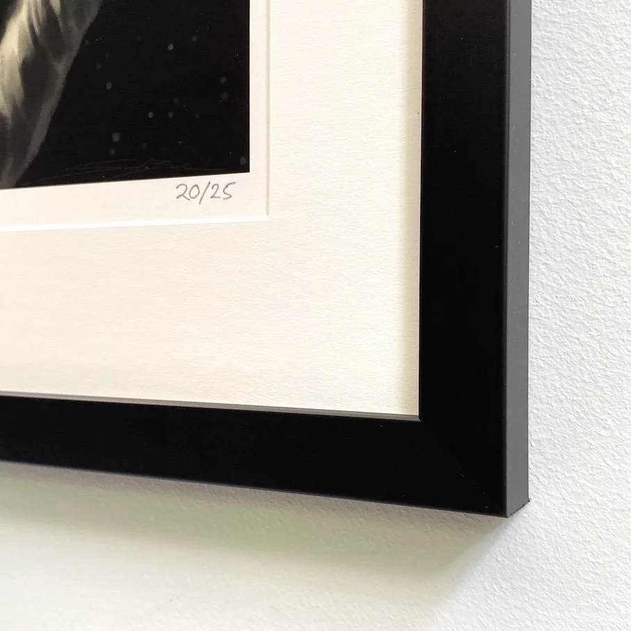 SamBalzerStickySituation-F2.jpg