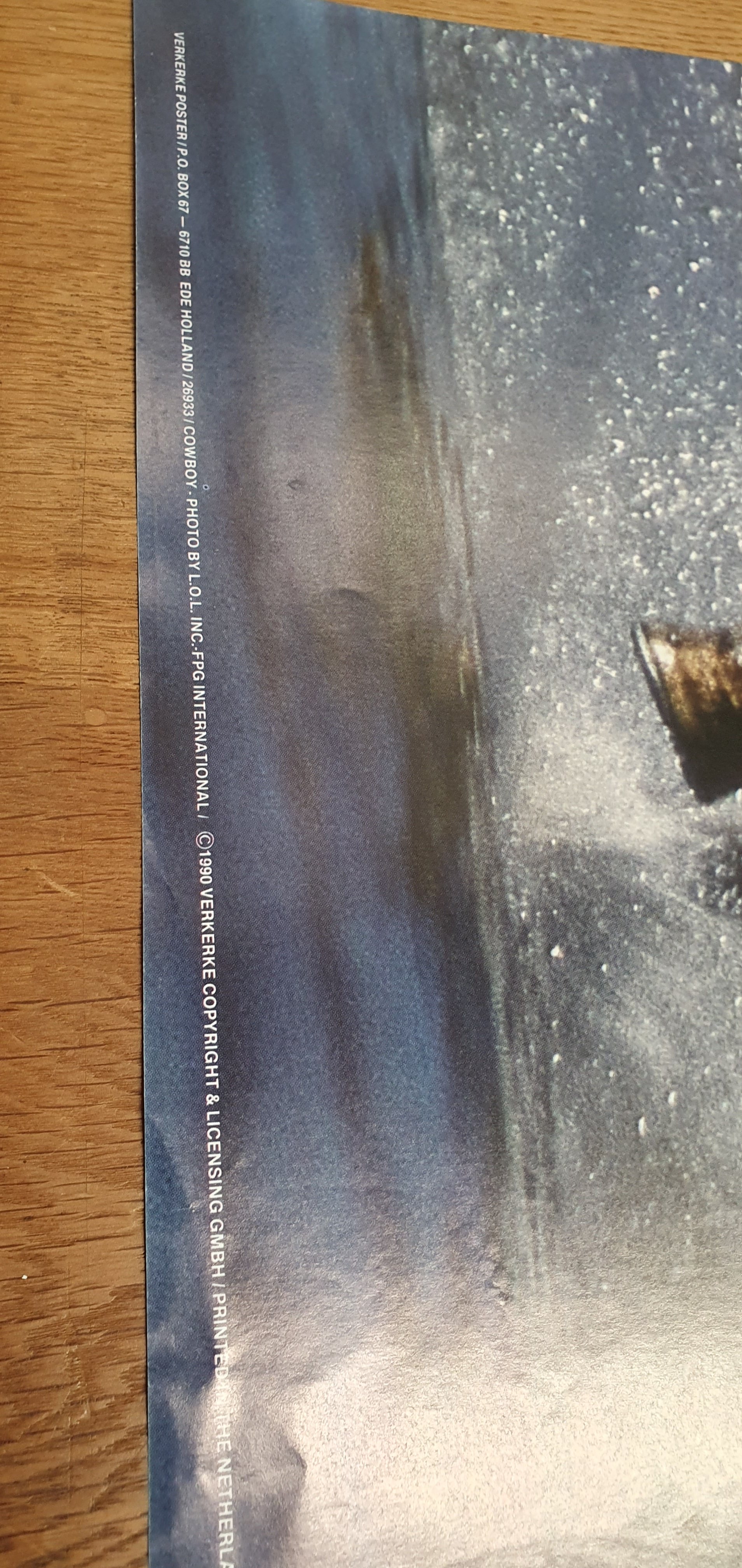 COWBOY Lol Ink 620x930 4.jpg