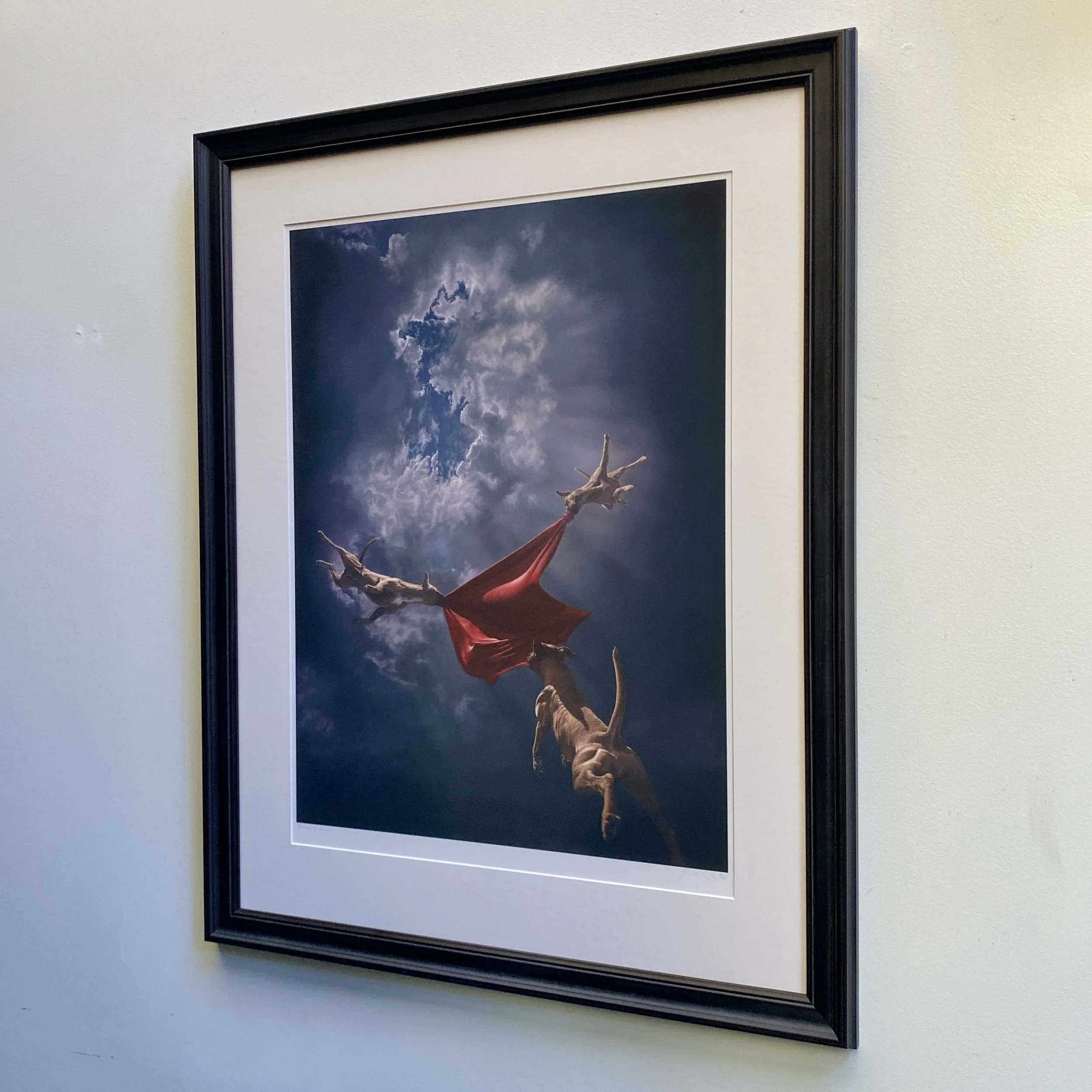 JOEL REA: RETURN TO GENESIS (F)