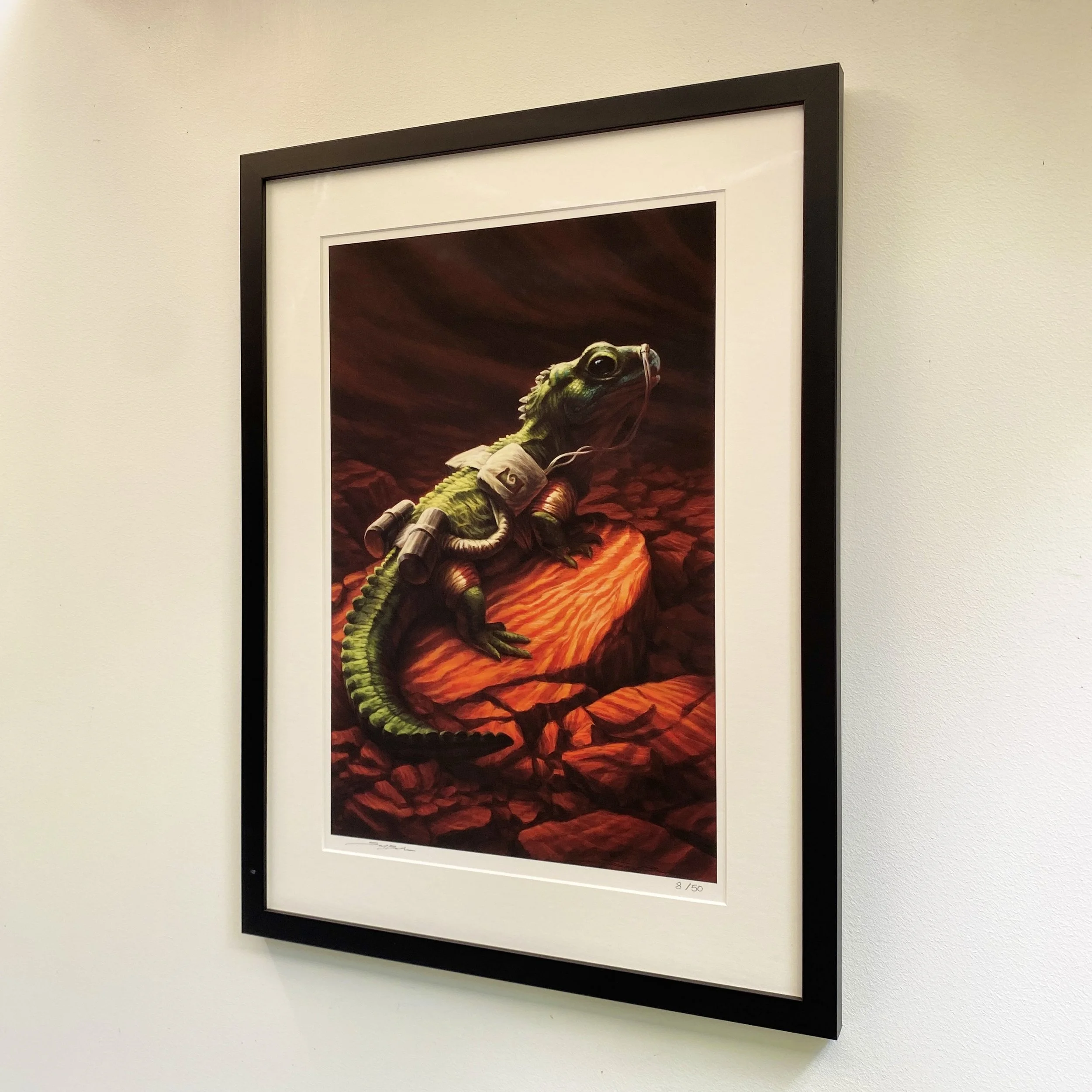 SAM BALZER: KAIHOPARA (F)