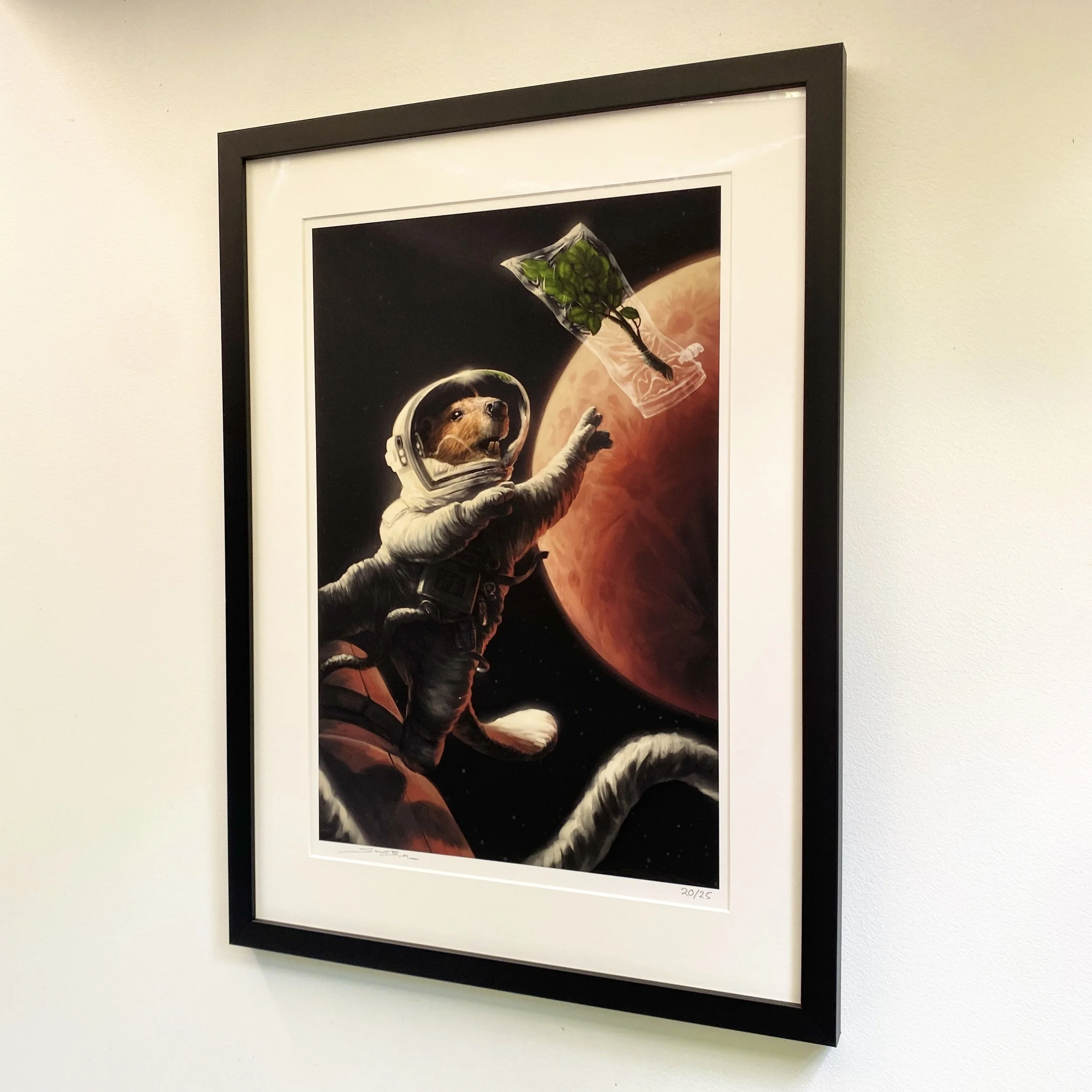 SAM BALZER: STICKY SITUATION (F)