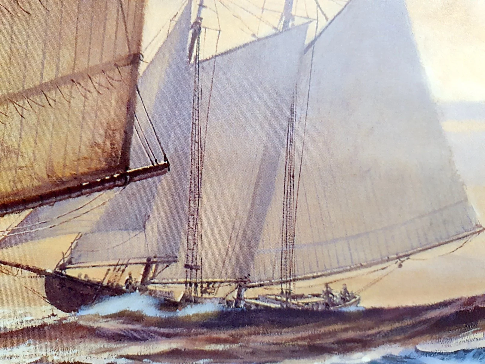 POS0055-3.jpg