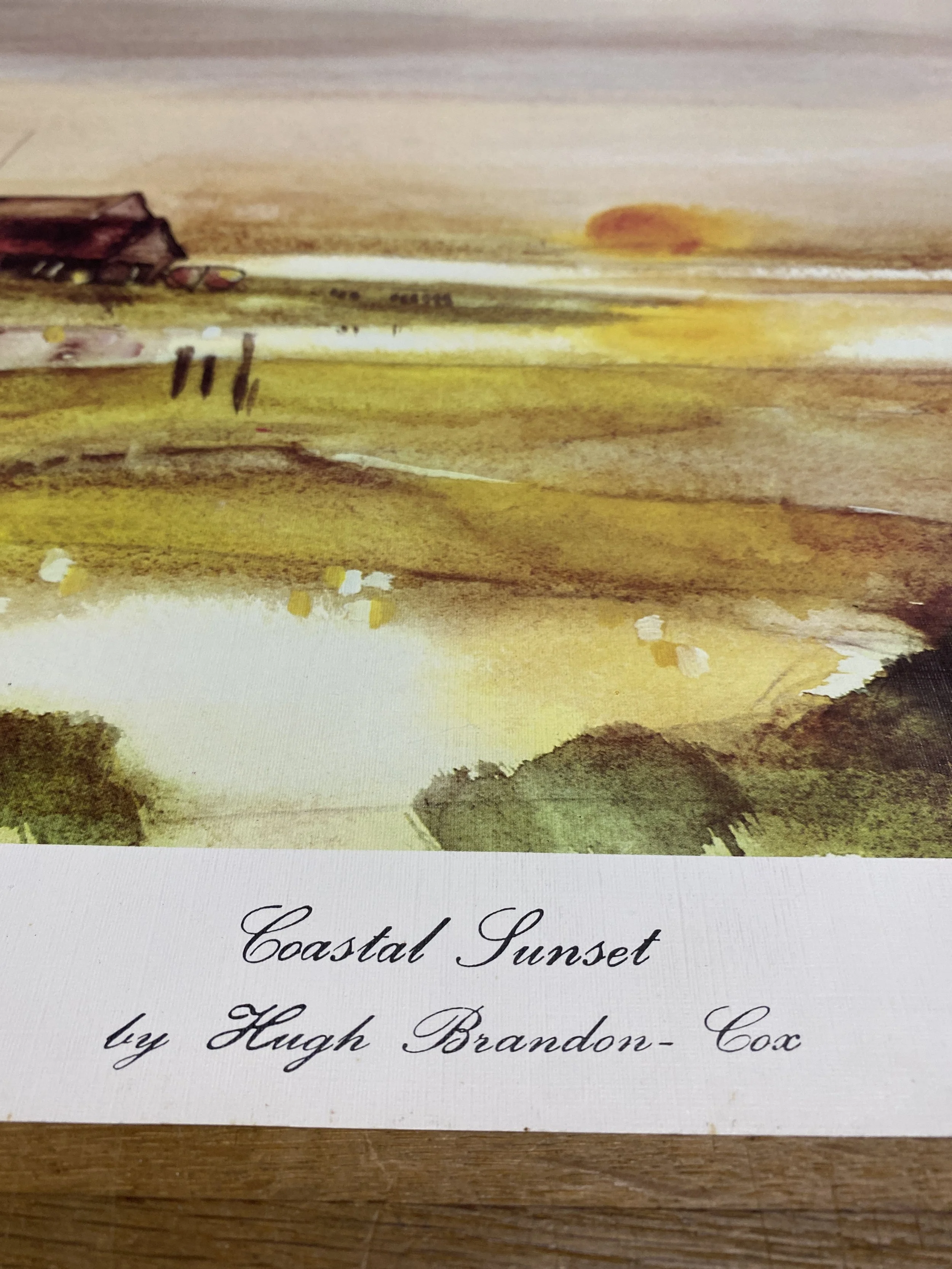 Hugh Brandon~Cox-Coastal Sunset -3.jpg